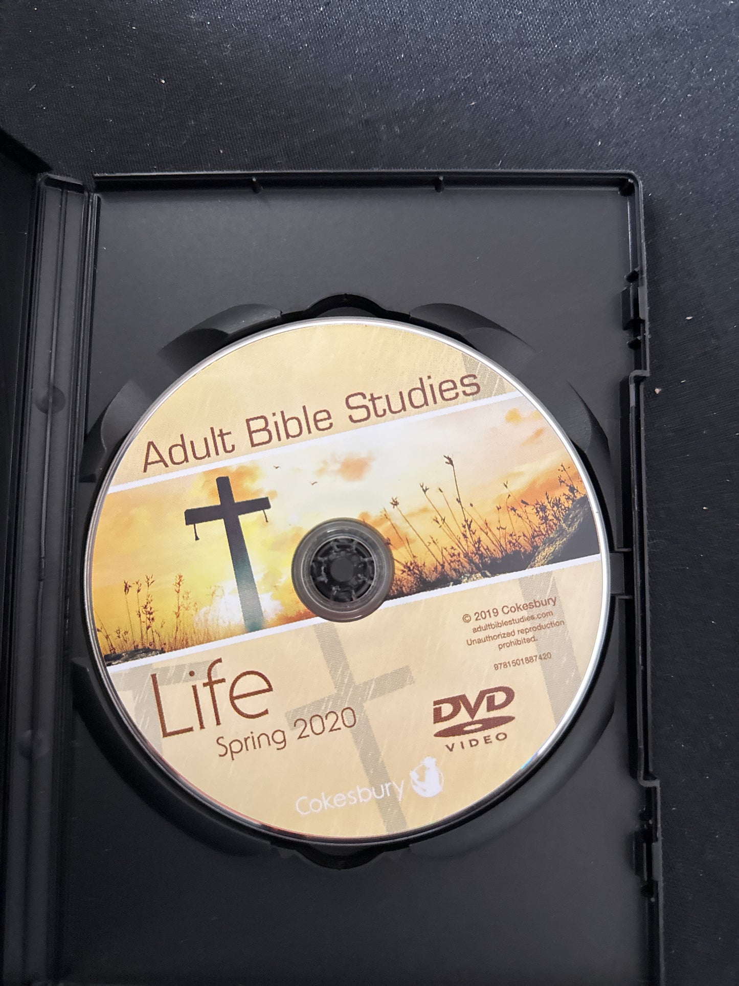 Words of Life Adam Hamilton DVD