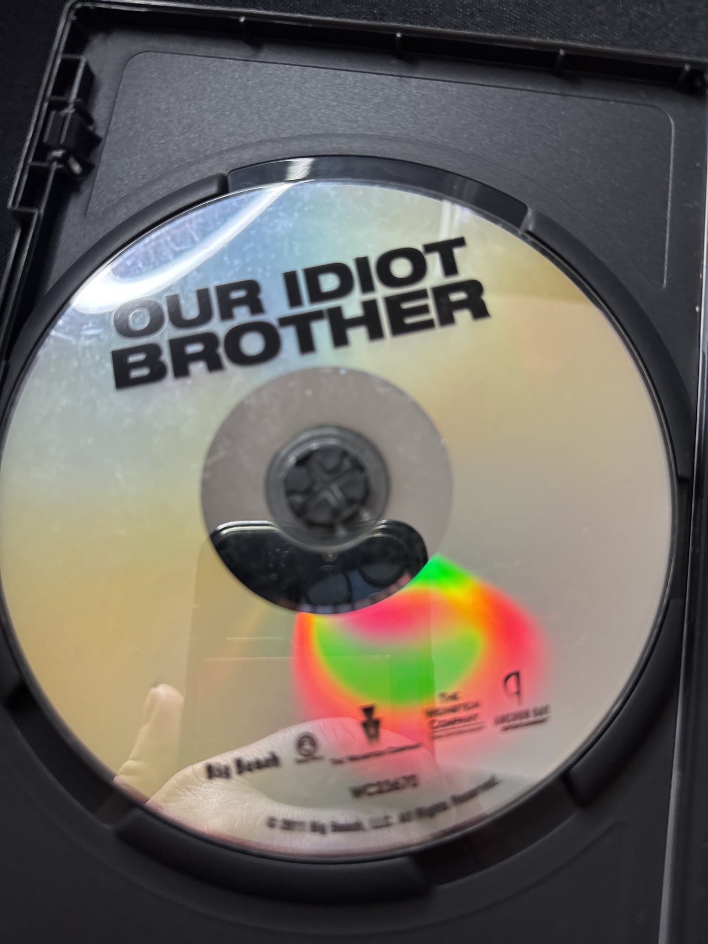 Our Idiot Brother DVD