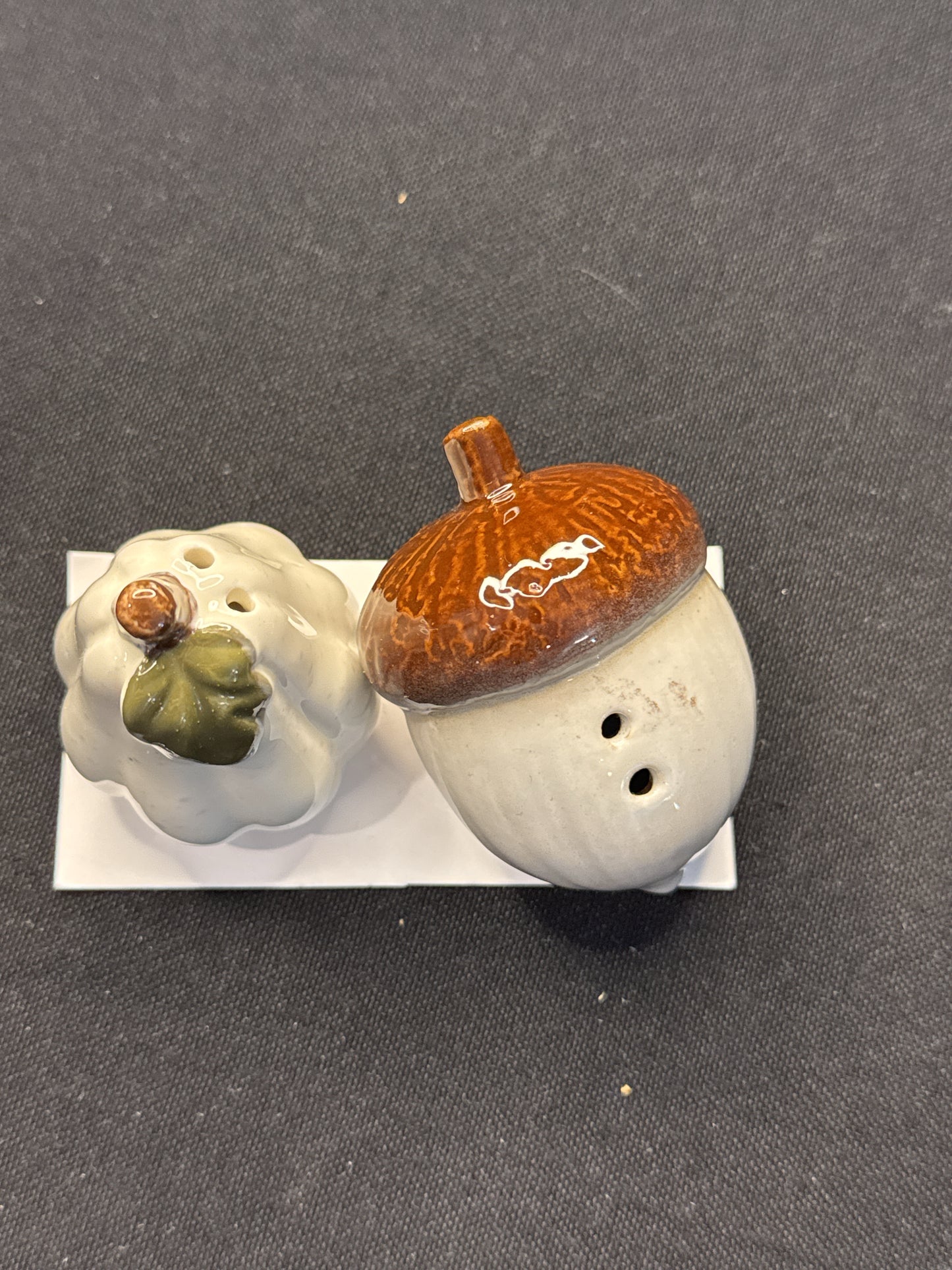 Acorn and Squash Autumn Fall Salt & Pepper Shakers