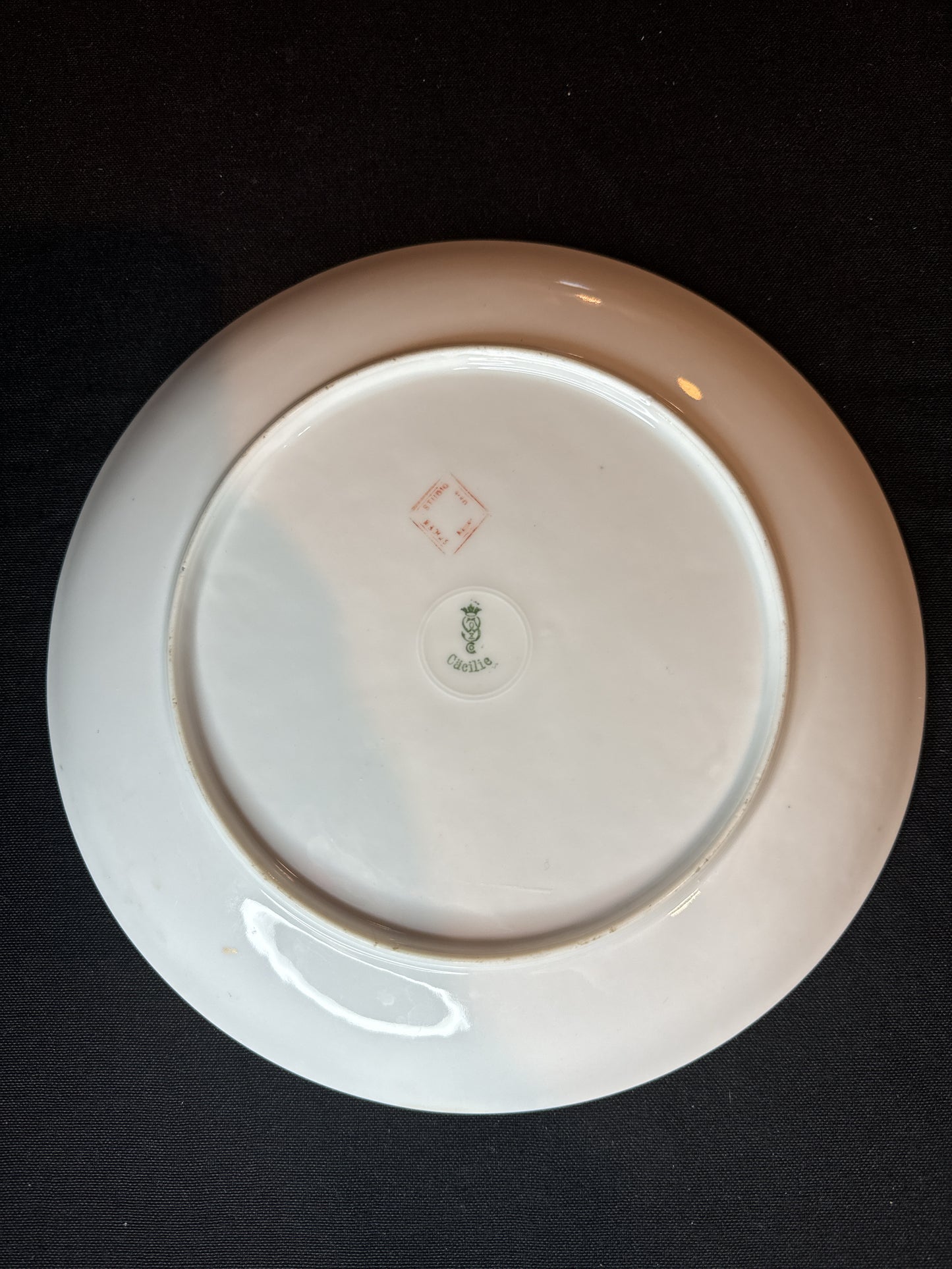 Cecilie Hand Painted 9.25" Plate Seashells Sea Bottom