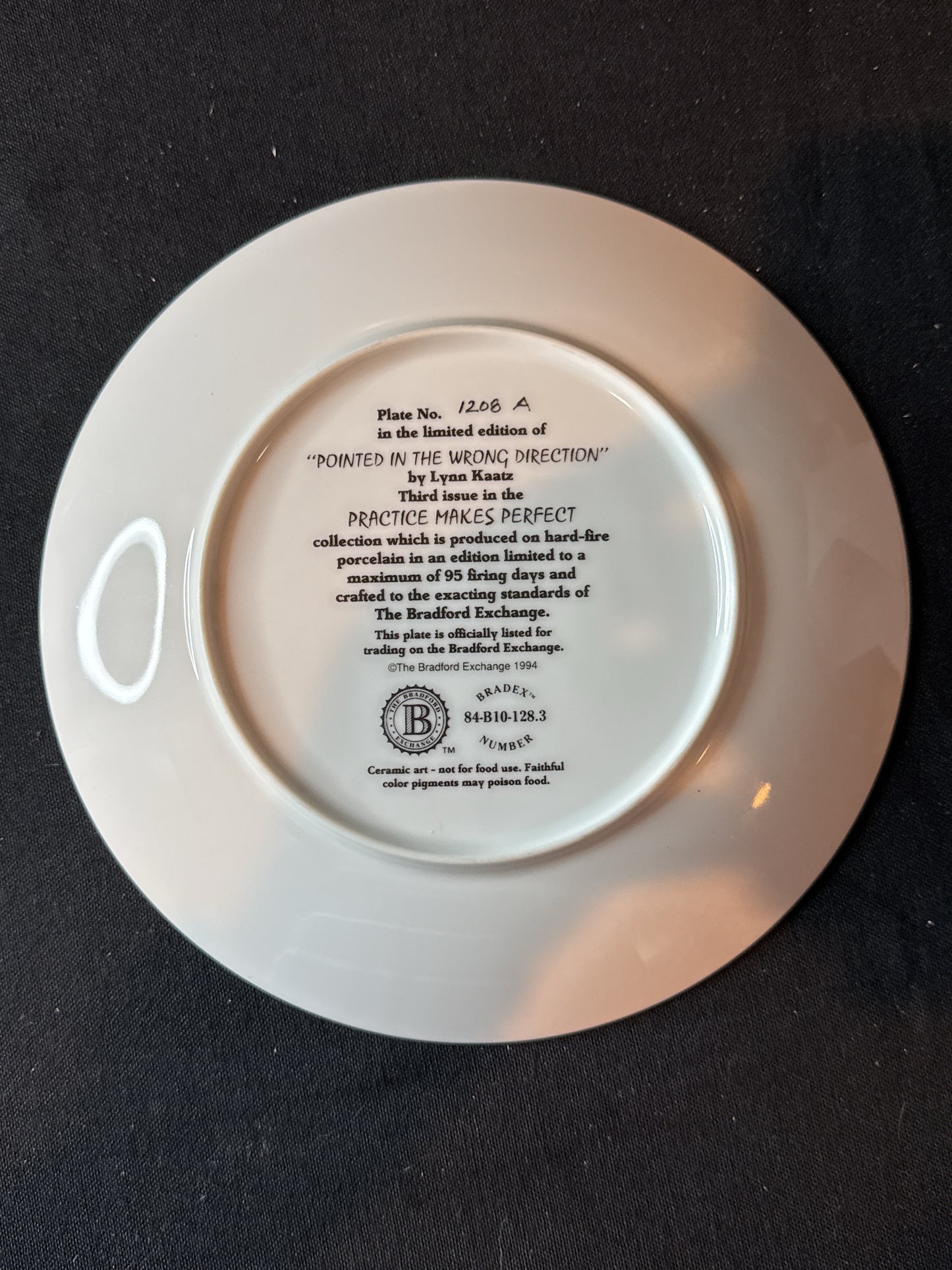 Bradford Exchange Practice Make Perfect Collection "Pointed In The Wrong Direction" Plate 8 3/8"