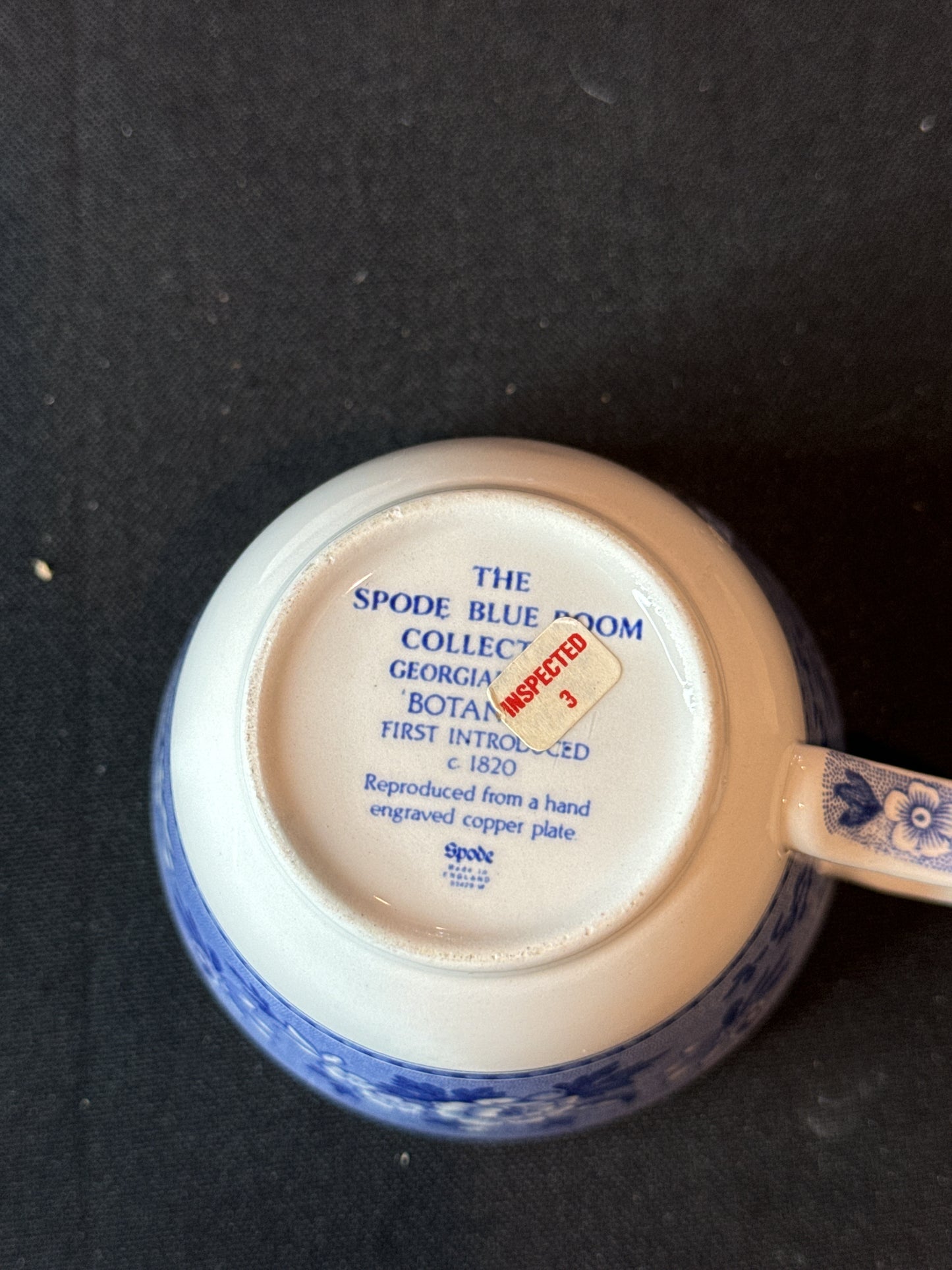 Spode Blue Room Collection Georgian Series "Botanical" Tea Cup and Saucer