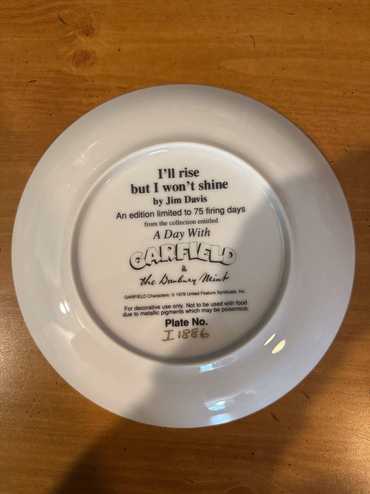 Garfield Collector's Plate by Danbury Mint "I'll Rise But I Won't Shine" 8.25" Wide Plate #I1886 Jim Davis