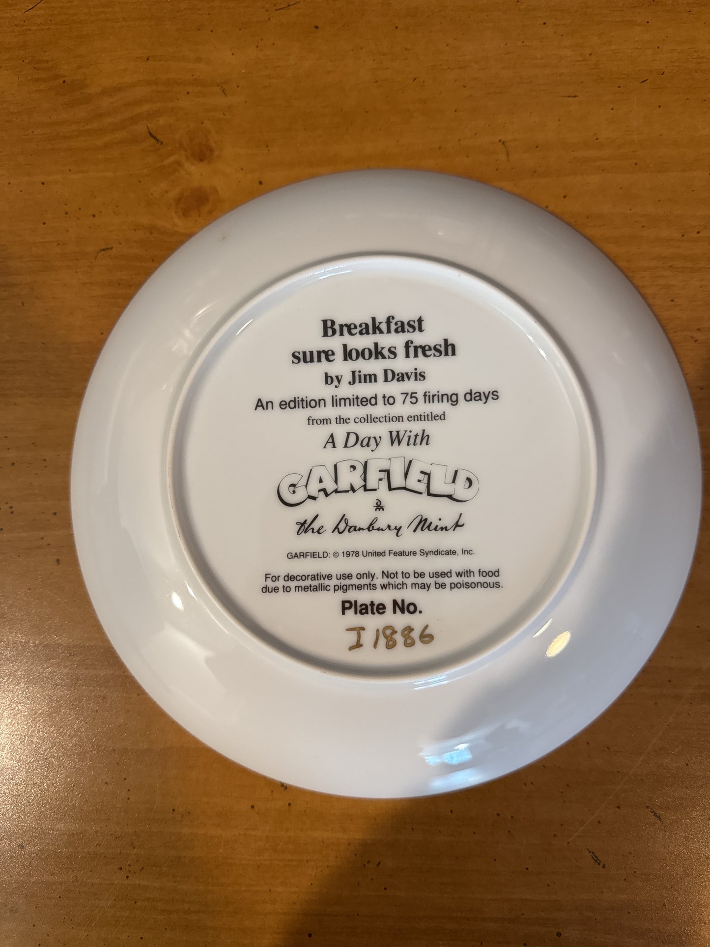 Garfield Collector's Plate by Danbury Mint "Breakfast Sure Looks Fresh" 8.25" Wide Plate #I1886 Jim Davis