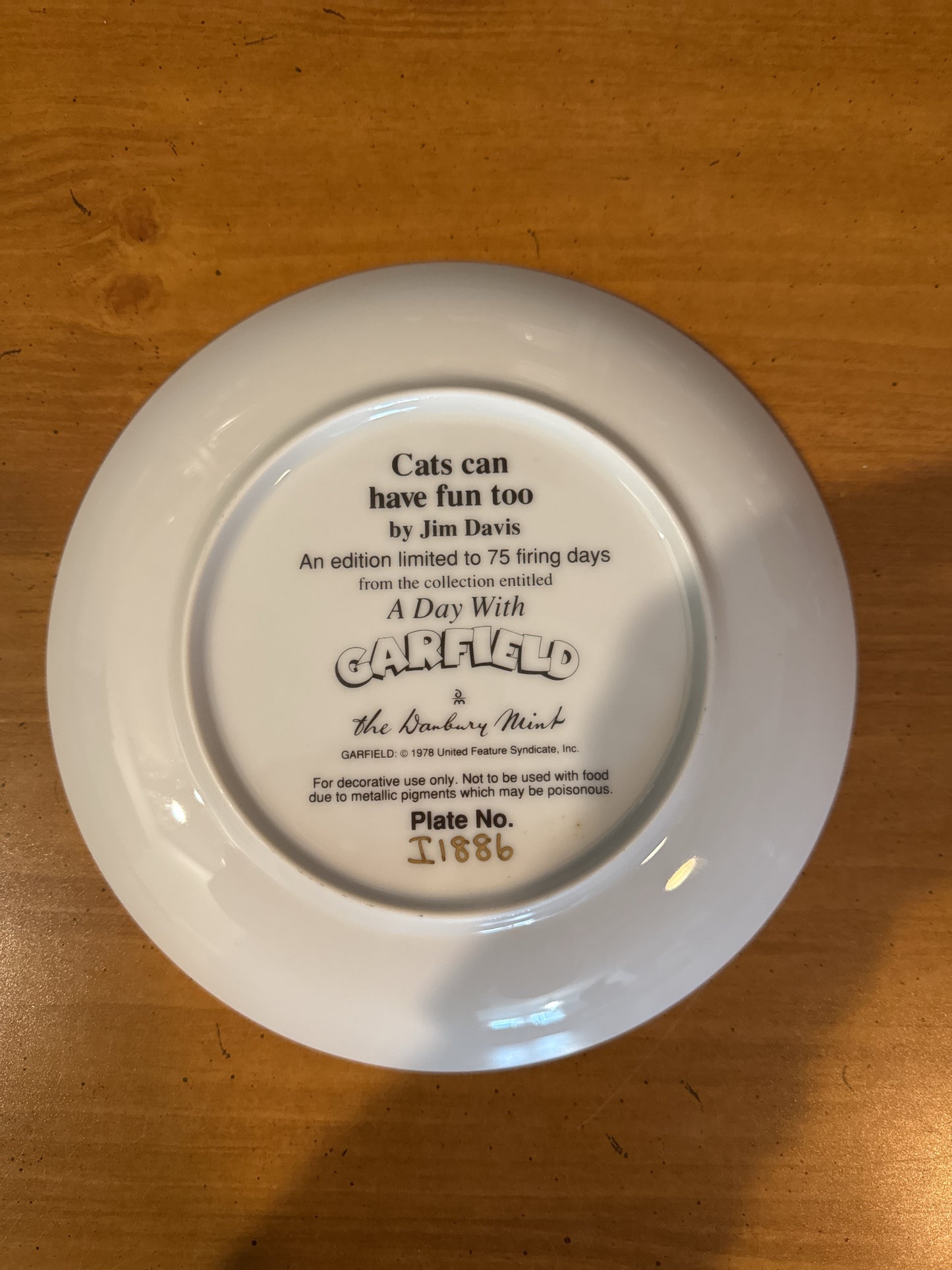 Garfield Collector's Plate by Danbury Mint "Cats Can Have Fun Too" 8.25" Wide Plate #I1886 Jim Davis