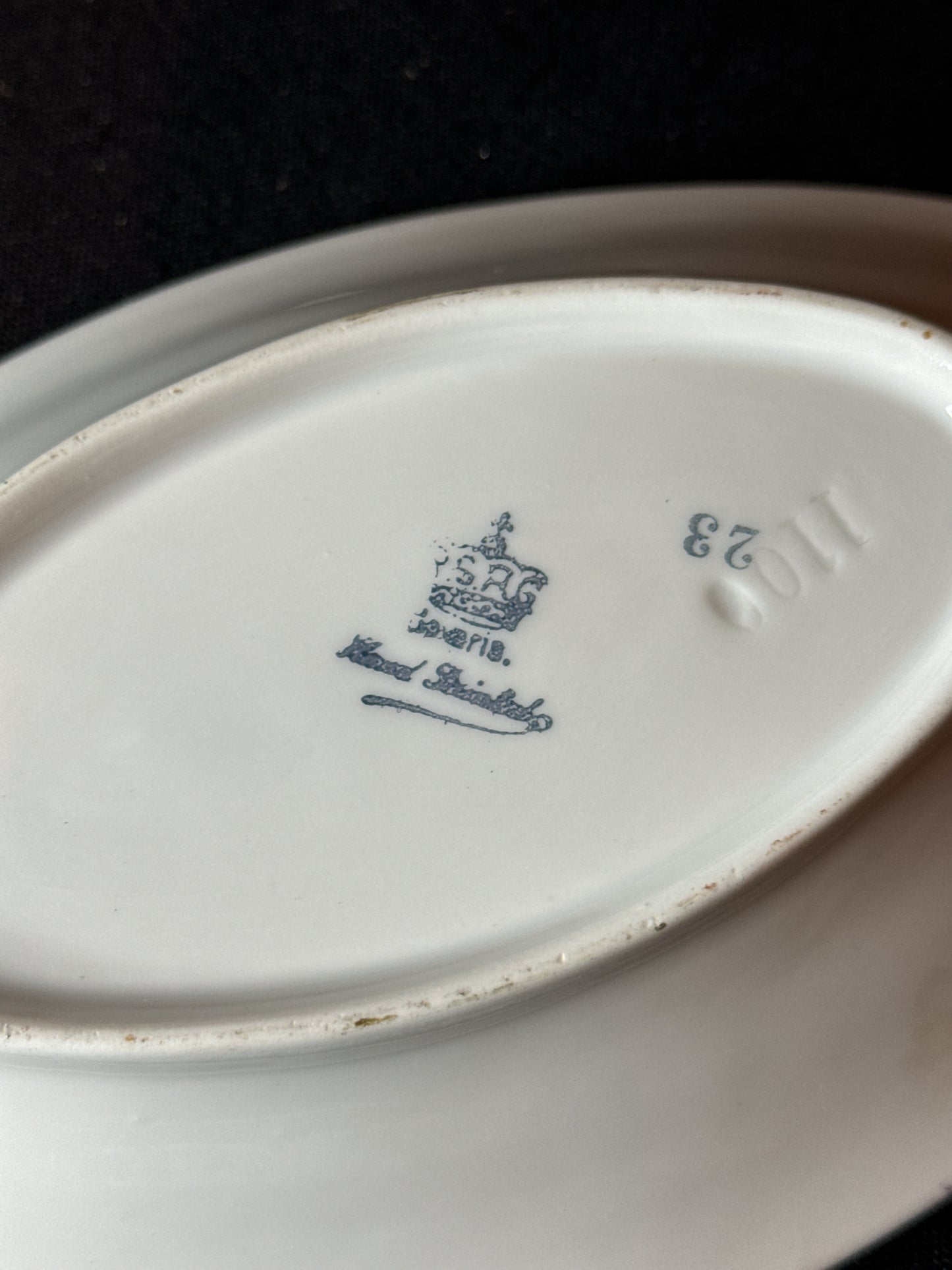 Vintage PSRG Bavaria Porcelain Relish Dish White and Pink Roses Hand Painted 8.25" Long