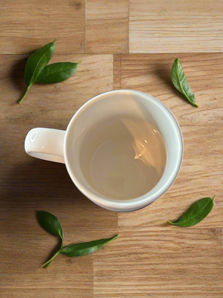 Starbucks 2006 Pink & Brown Stripe Stainless Steel Bottom & Ceramic Coffee Cup Mug 5" Tall