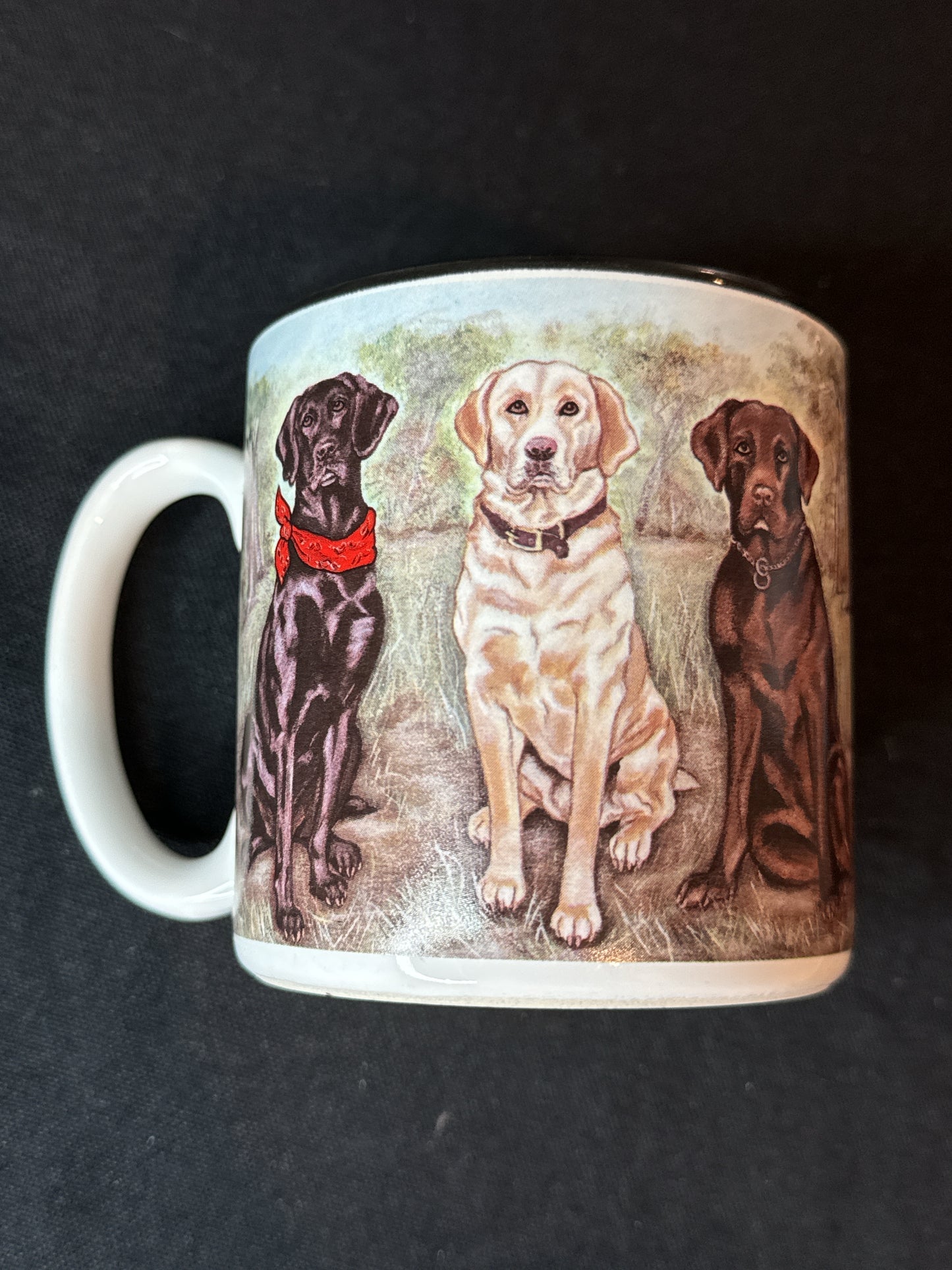 Vintage 1996 S Tuck Labrador Retrievers Coffee Mug 10oz 3.75" Tall Black Interior
