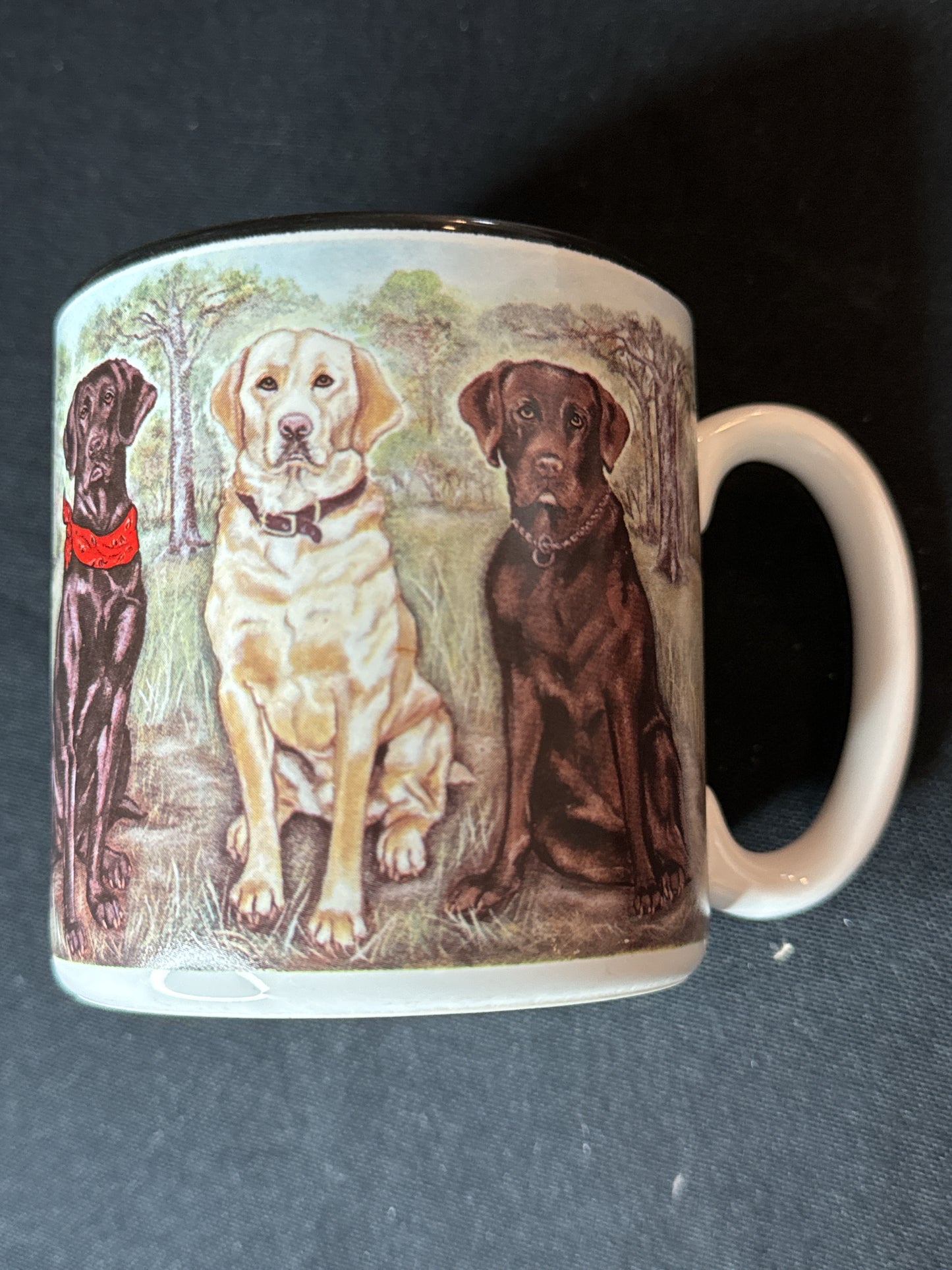 Vintage 1996 S Tuck Labrador Retrievers Coffee Mug 10oz 3.75" Tall Black Interior