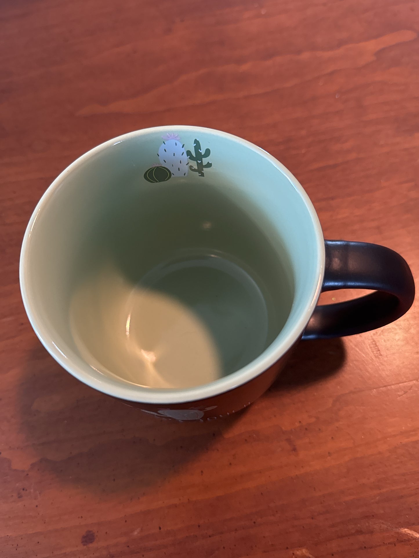 Can't Touch This Cactus Coffee Cup Mug Black w/ Green Interior New