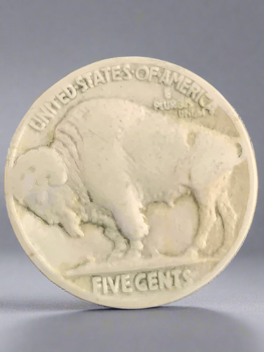 1929 Buffalo Nickel, Indian Head 5 Cents No Mint Mark