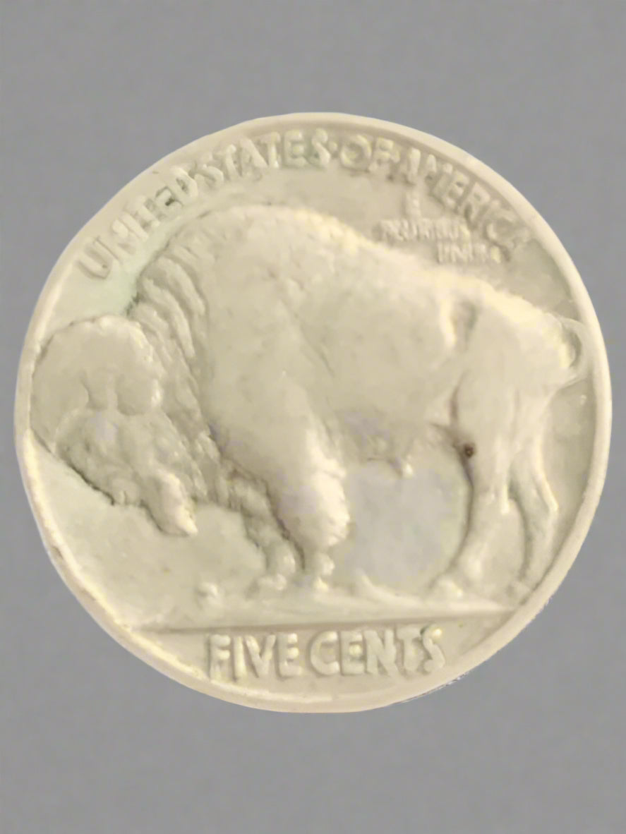 1930 Buffalo Nickel, Indian Head 5 Cents No Mint Mark
