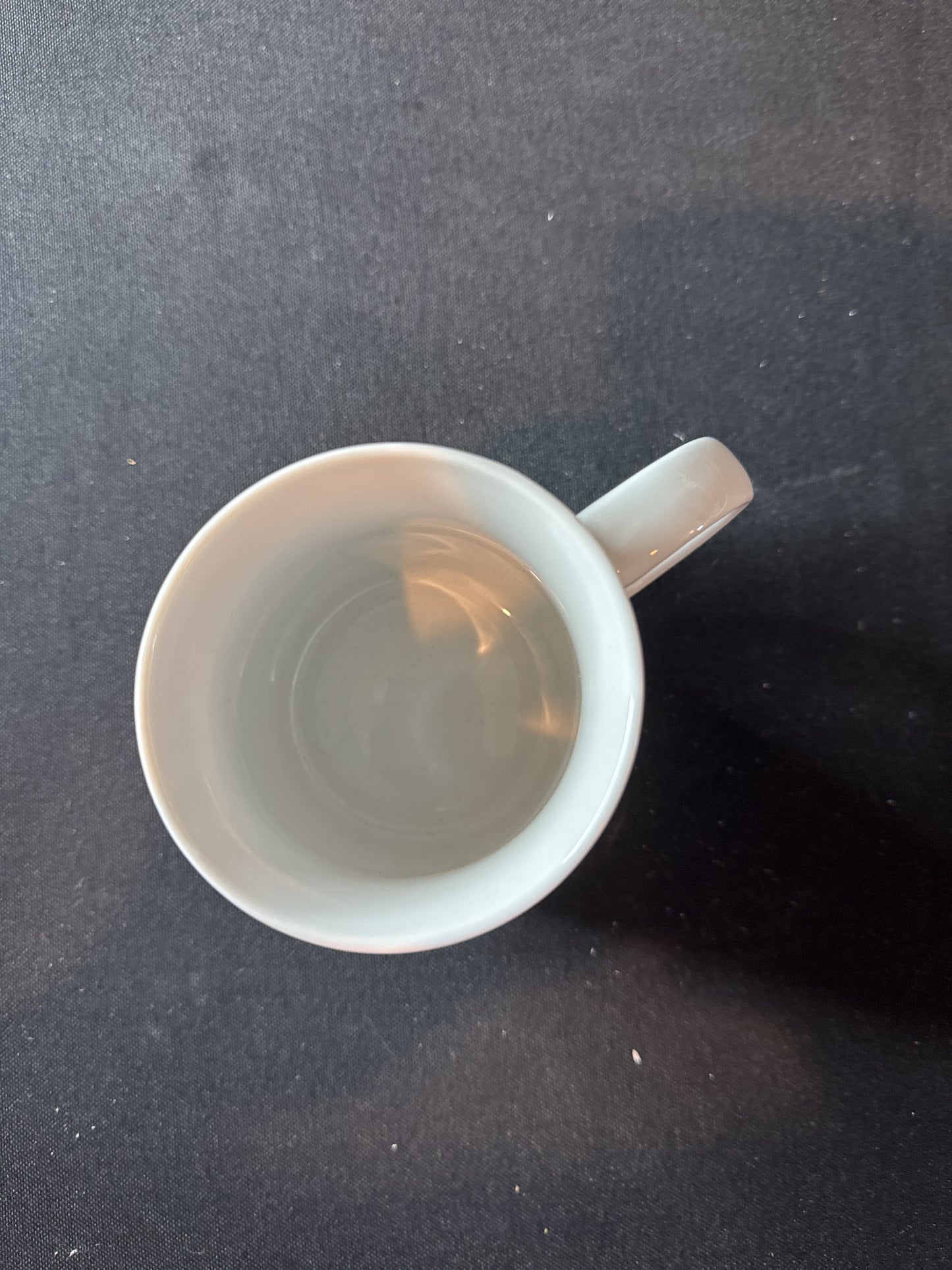 Ganz Grumpy Cat 2013 Vintage Coffee Cup Mug "There is not enough coffee..." 3.75" Tall