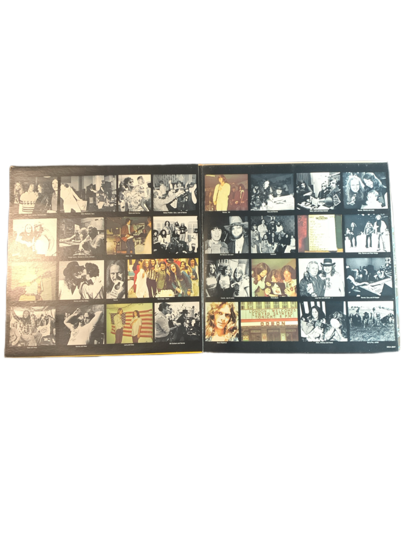 Lynyrd Skynyrd - Skynyrd's First and ... Last (LP, Album, Glo)