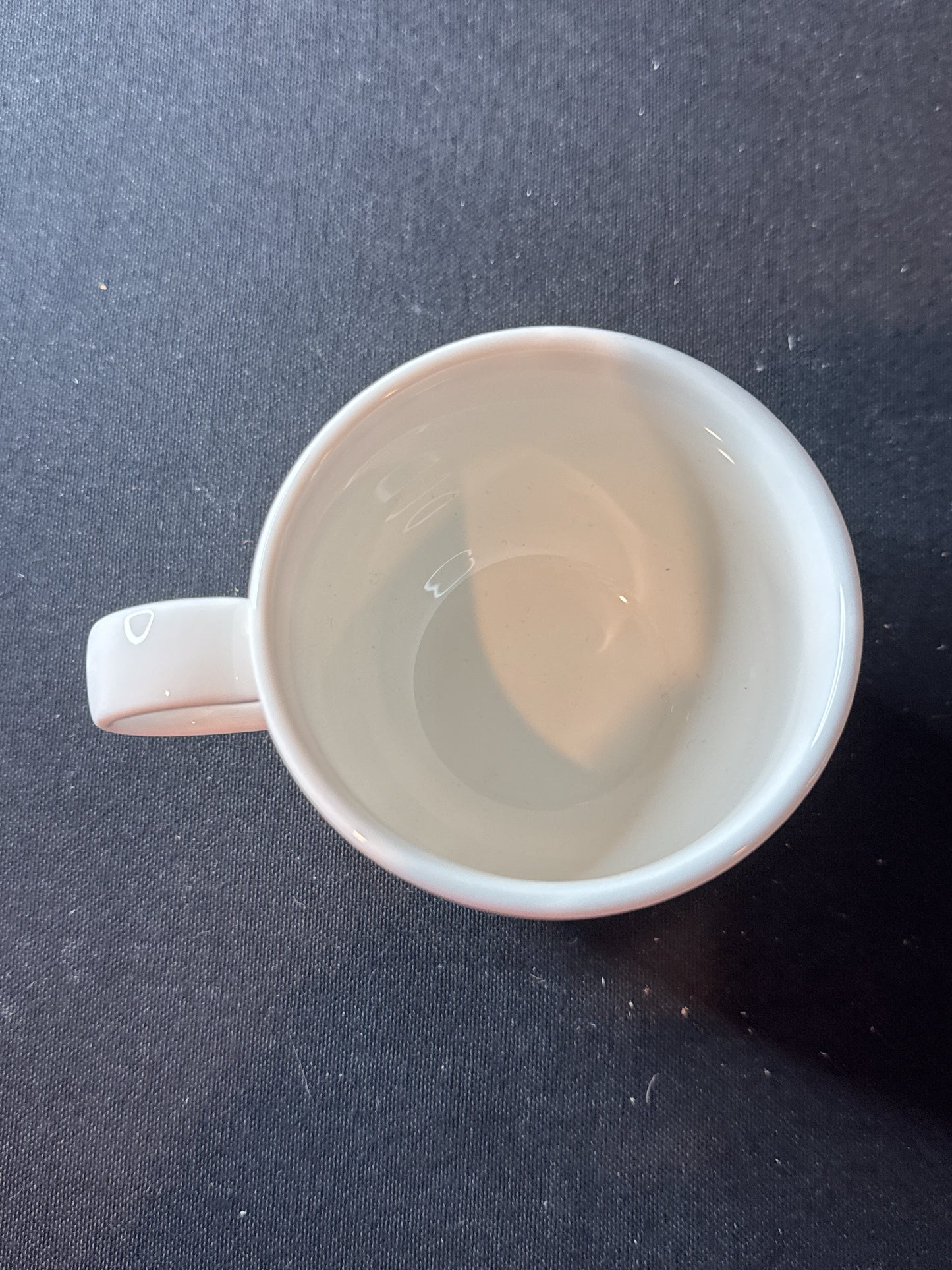 Culinary Institute of America Sant Andrea Maxaduro Tea Cup 2.75" Tall
