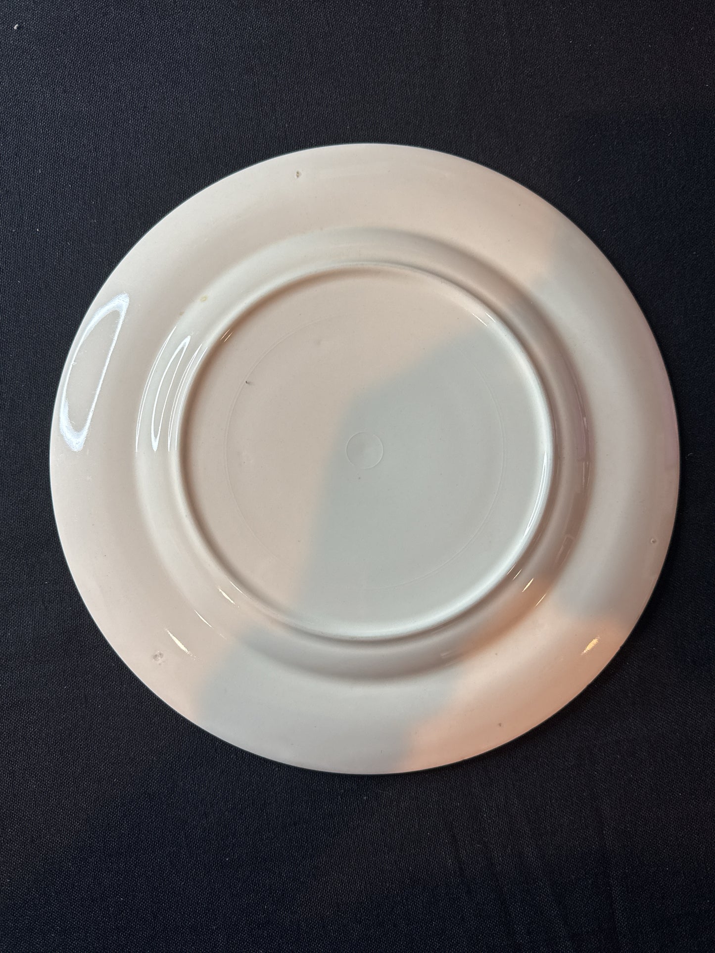 Salem Princess Jane Pattern 9.5" Wide Dinner Plate Green/Gold Rim Rose Center Piece