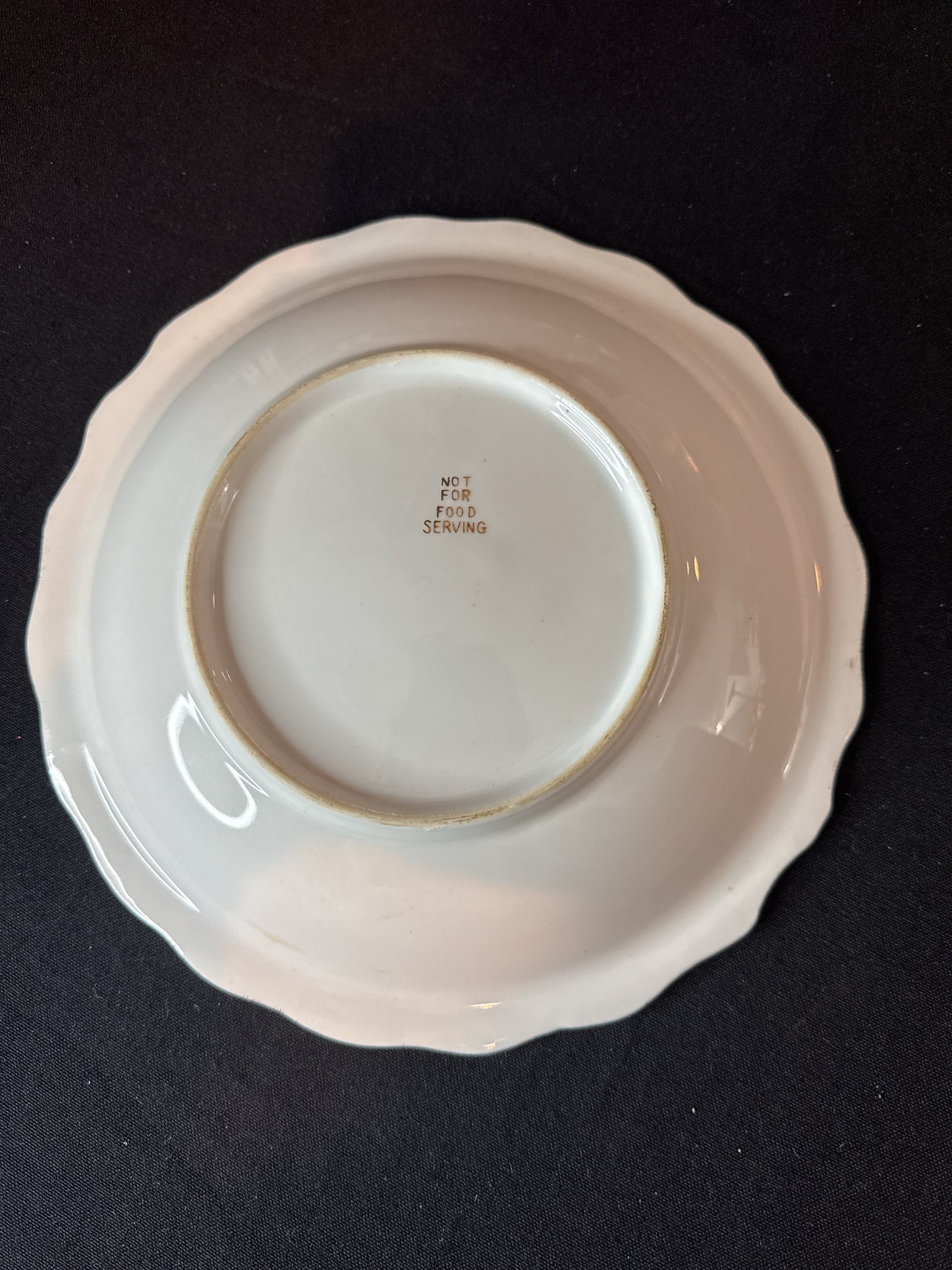 Hand Painted Still Life Fruit Bowl 9.25" Wide x 1.5" Tall Display Piece