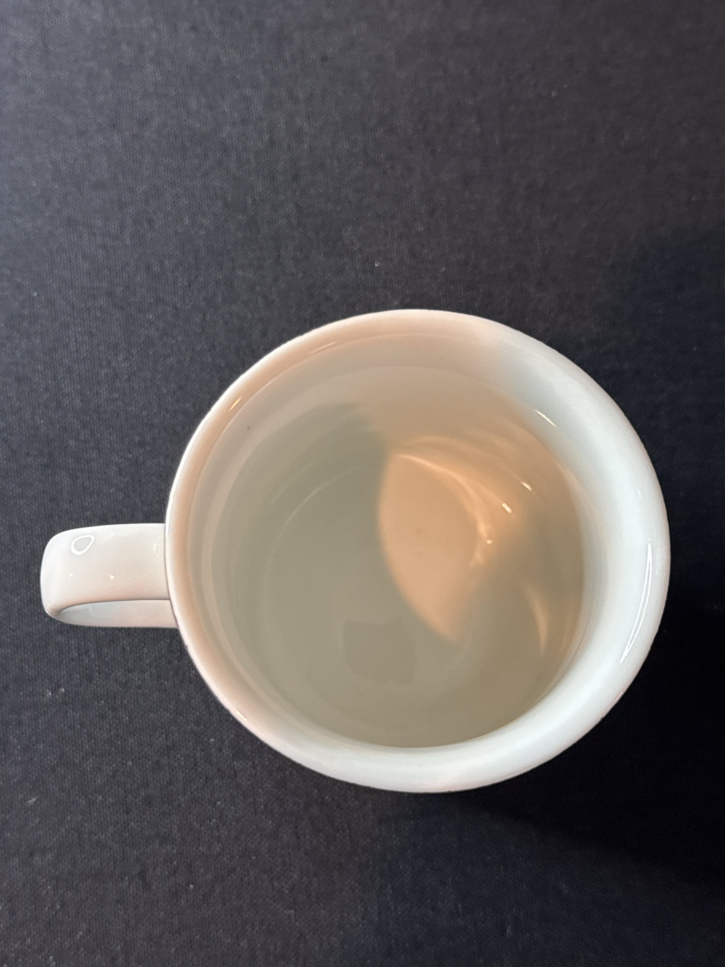 Souvenir Charleston, SC Coffee Cup Mug 3.5" Tall