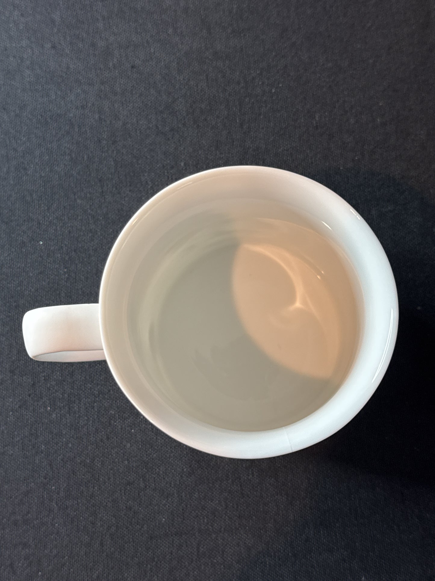 Magnolia Mississippi Coffee Cup Mug 3.5" Tall