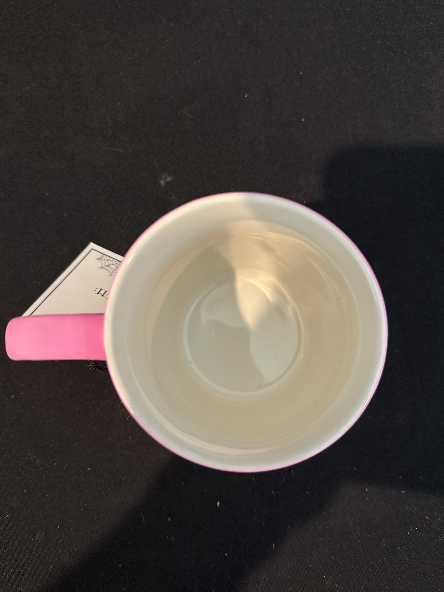 Cobwebs & Cauldrons Pink Soft Feel Cat Candy 4 3/8" Tall New