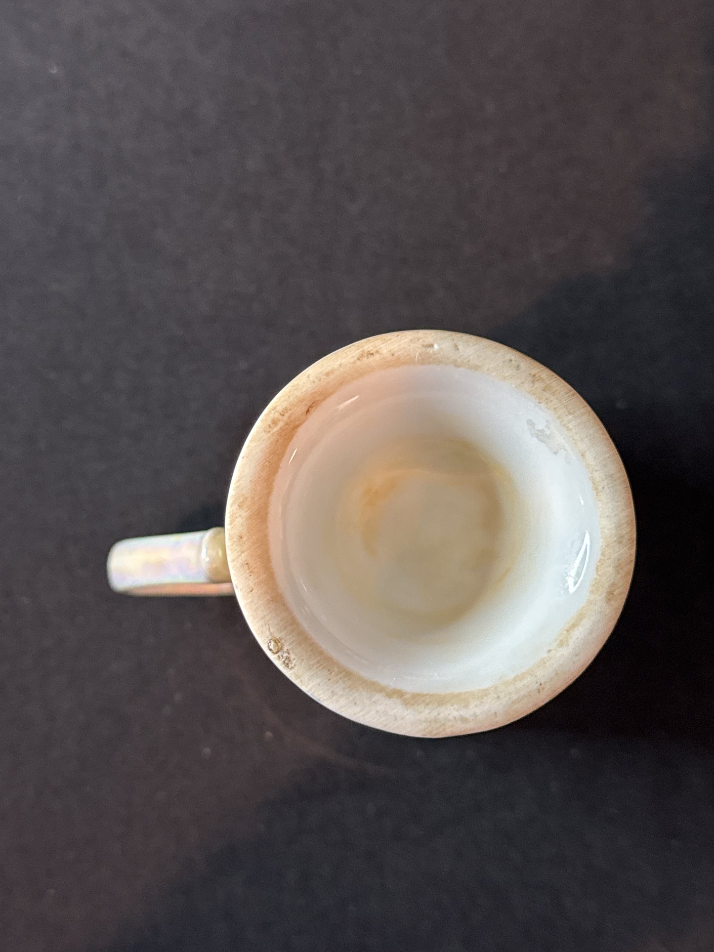 Dolphin Themed Pearlescent Finish Footed Base Coffee Mug Cup 4" Tall