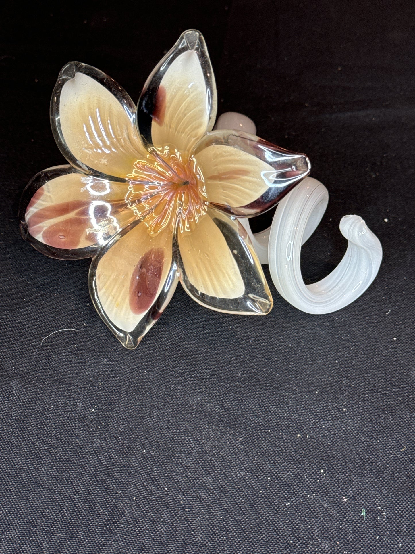 Murano 5.5" Blown Stretched Art Glass 6 Petal Flower Burg Tan White Curly