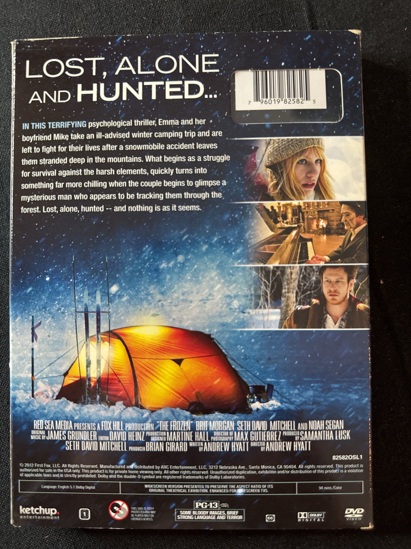 Frozen Pray For Help DVD