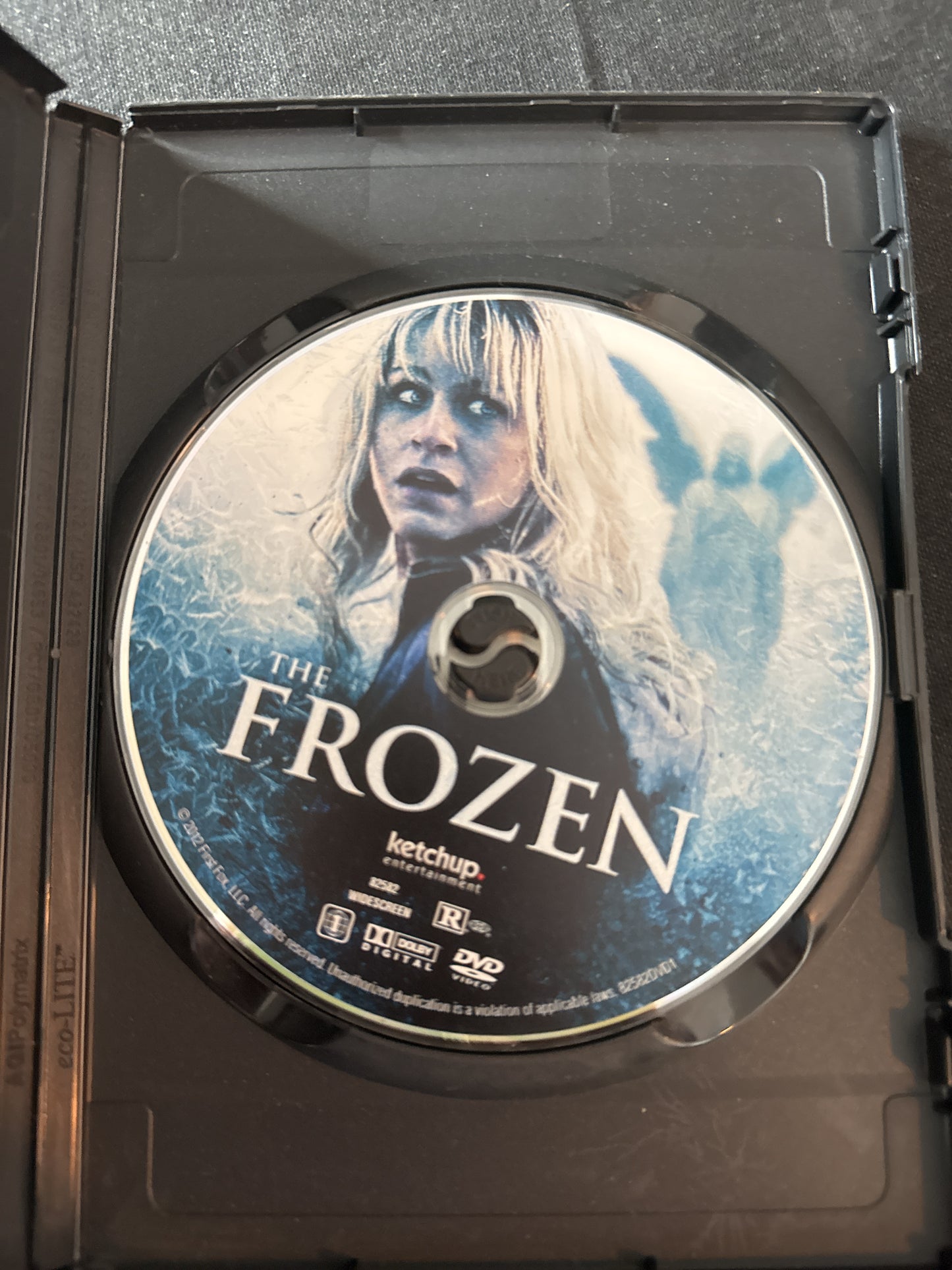 Frozen Pray For Help DVD