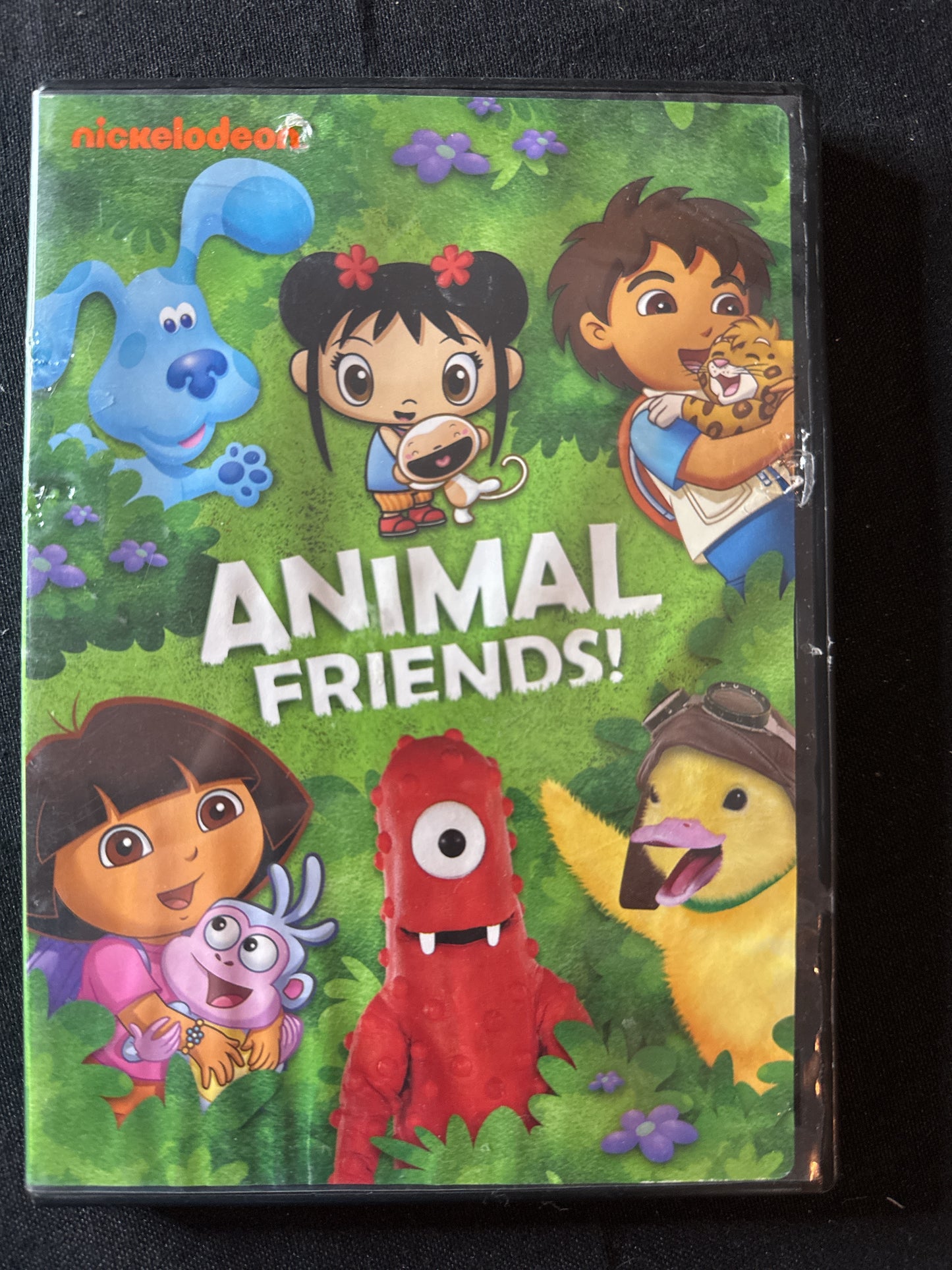 Nickelodeon Animal Friends DVD