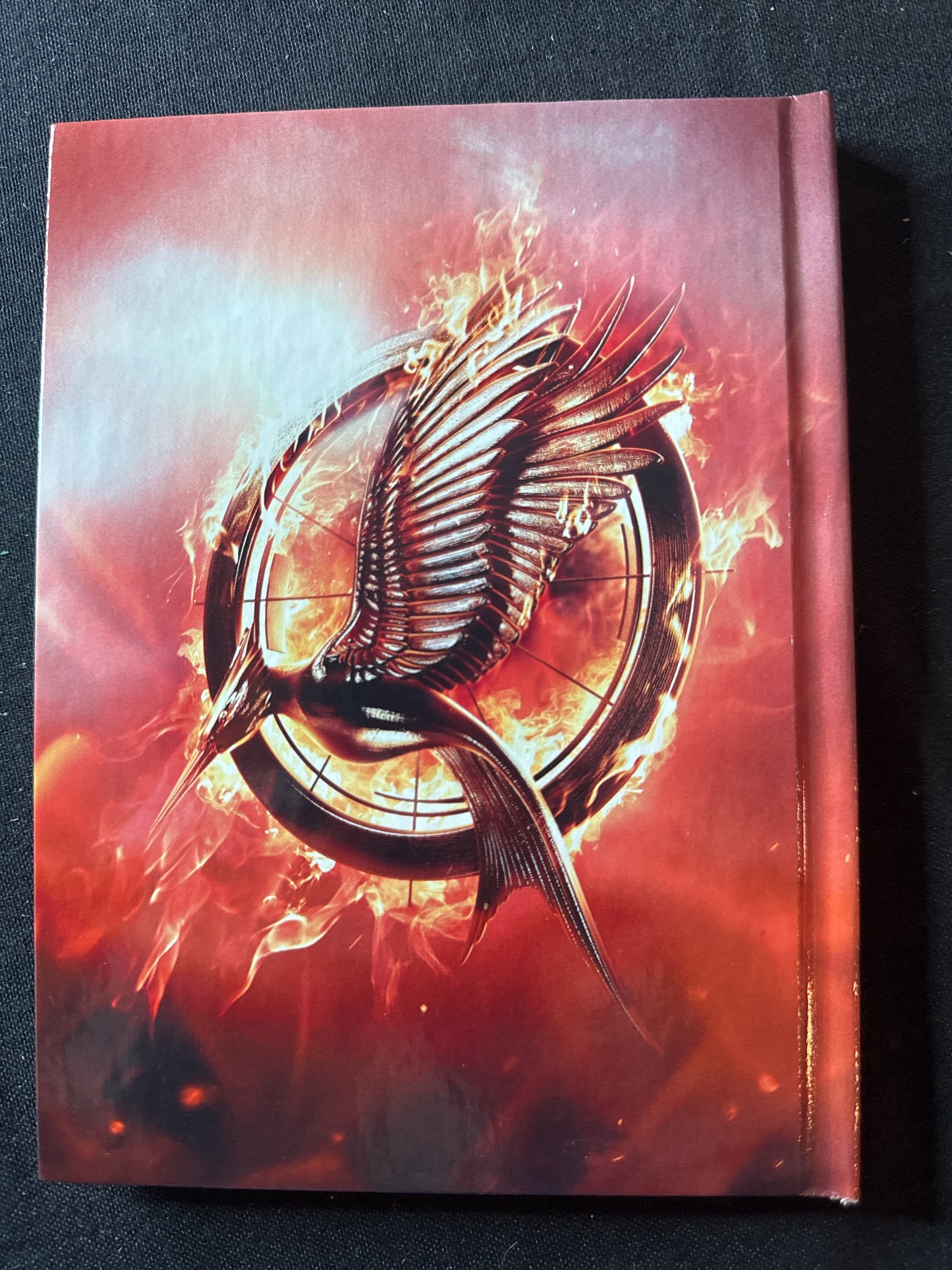 The Hunger Games Catching Fire Blu-Ray & DVD Plus Bonus Disc