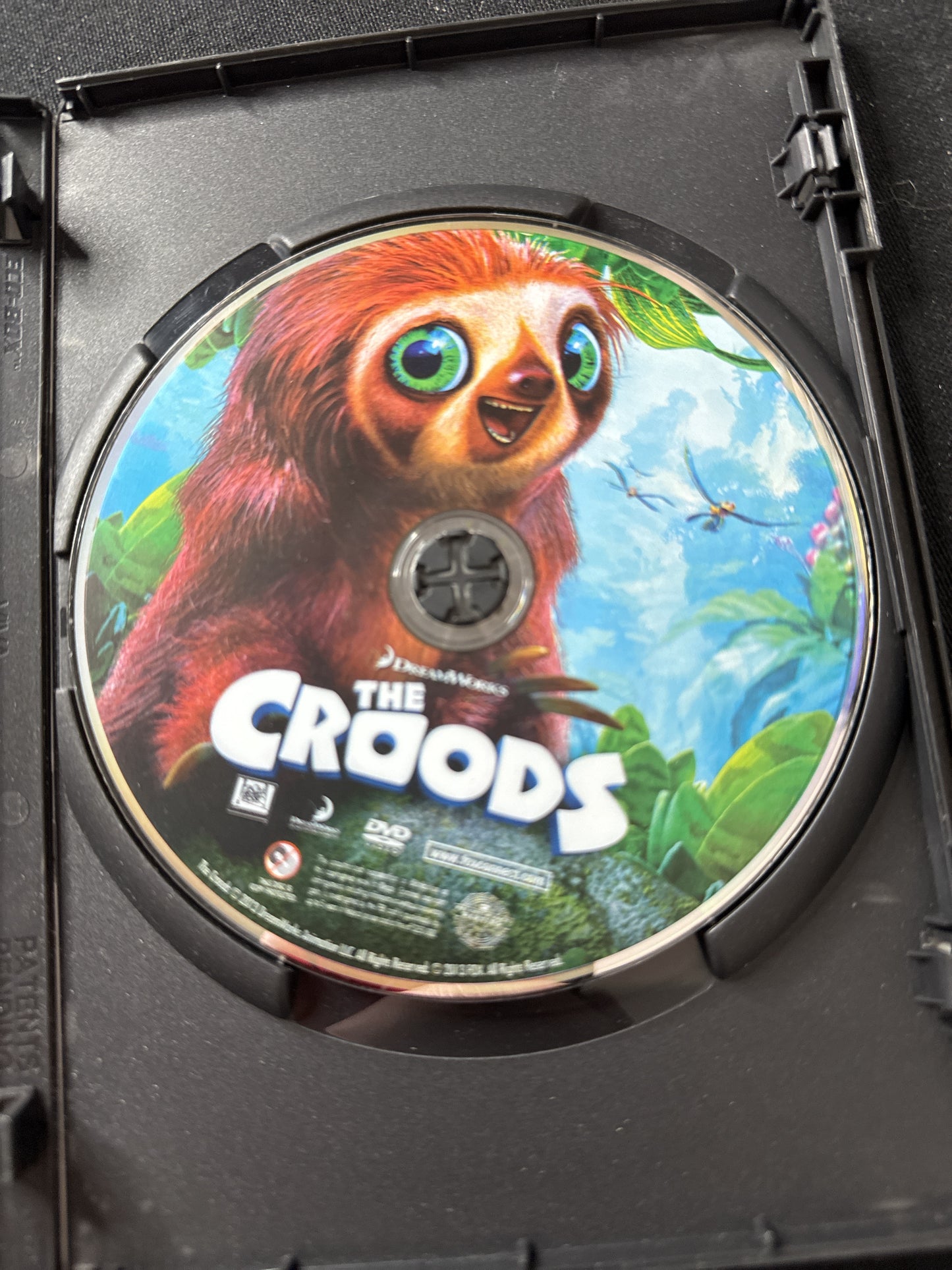 The Croods DVD