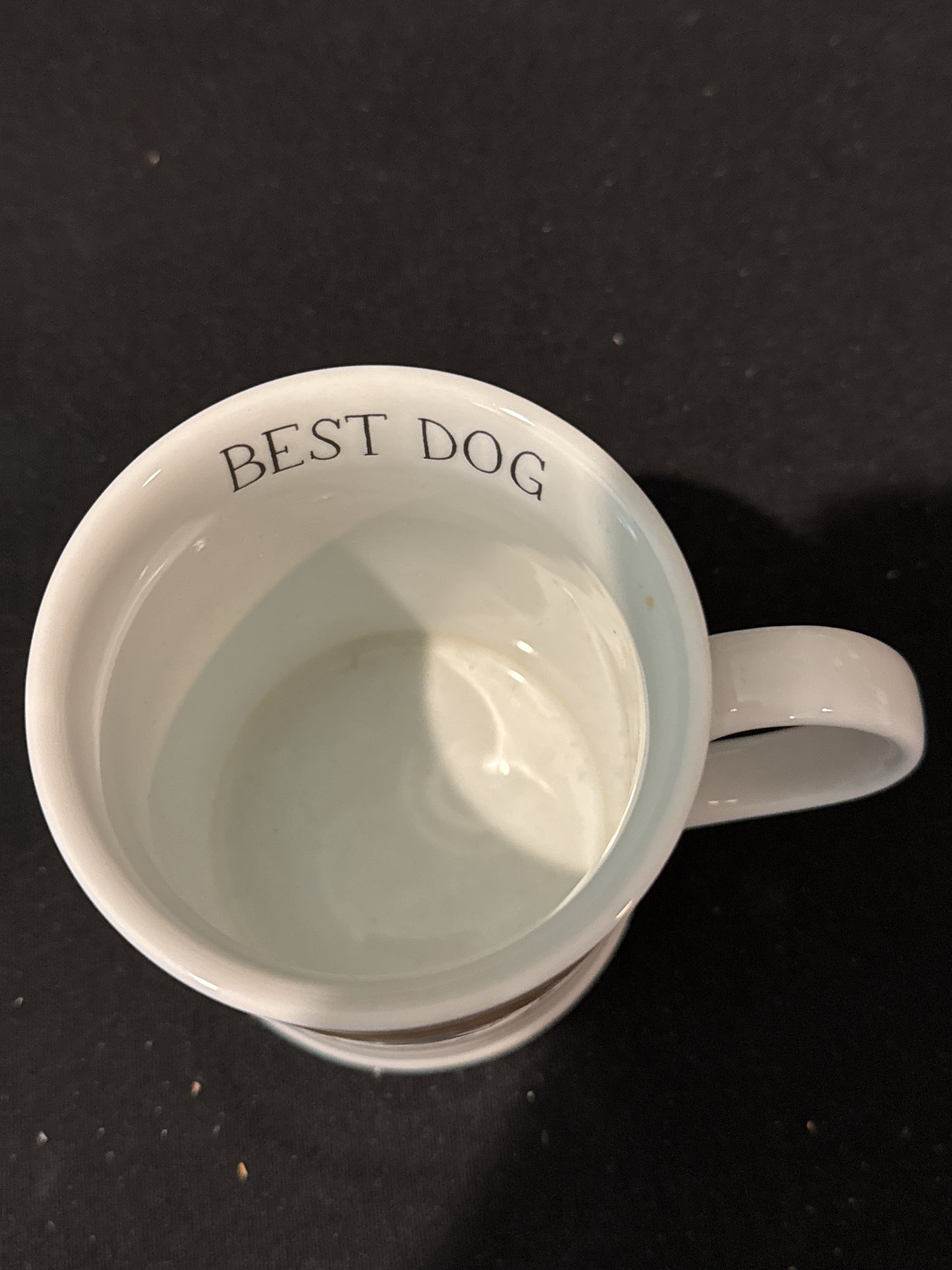 Yellow Lab Dog Coffee Cup Mug Julianna Swaney For Fringe 4.25" Tall