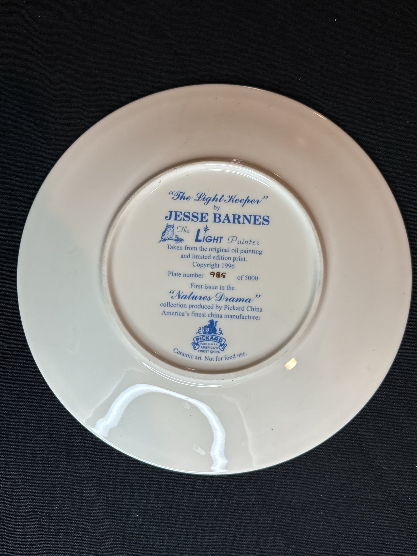 Jesse Barnes The Light Keeper Collector Plate Signed #985/5000 Nature's Drama 8.25"