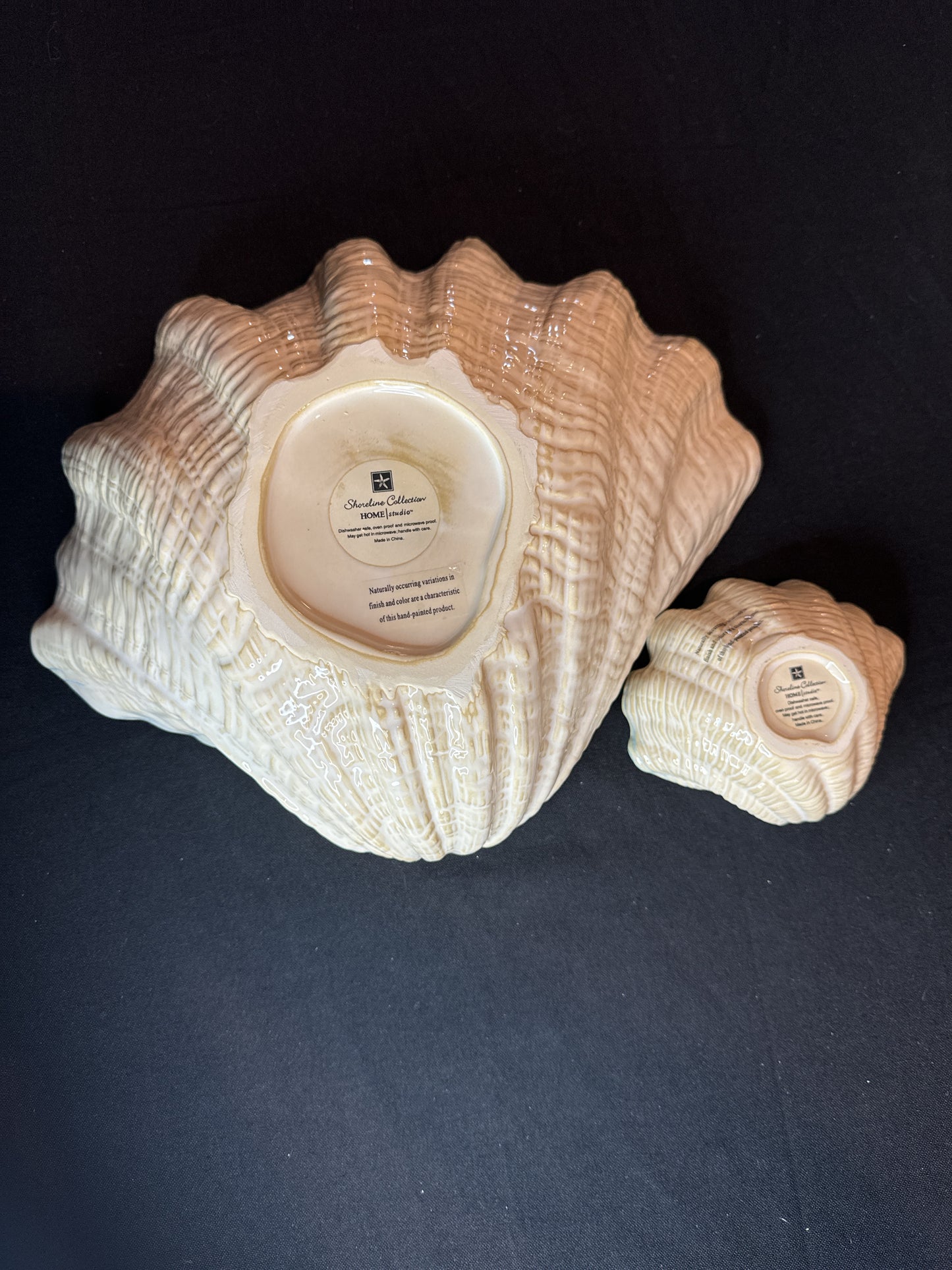 Shoreline Collection Home Studio Clam Shell Bowl 14" and 5.5" Set of 2