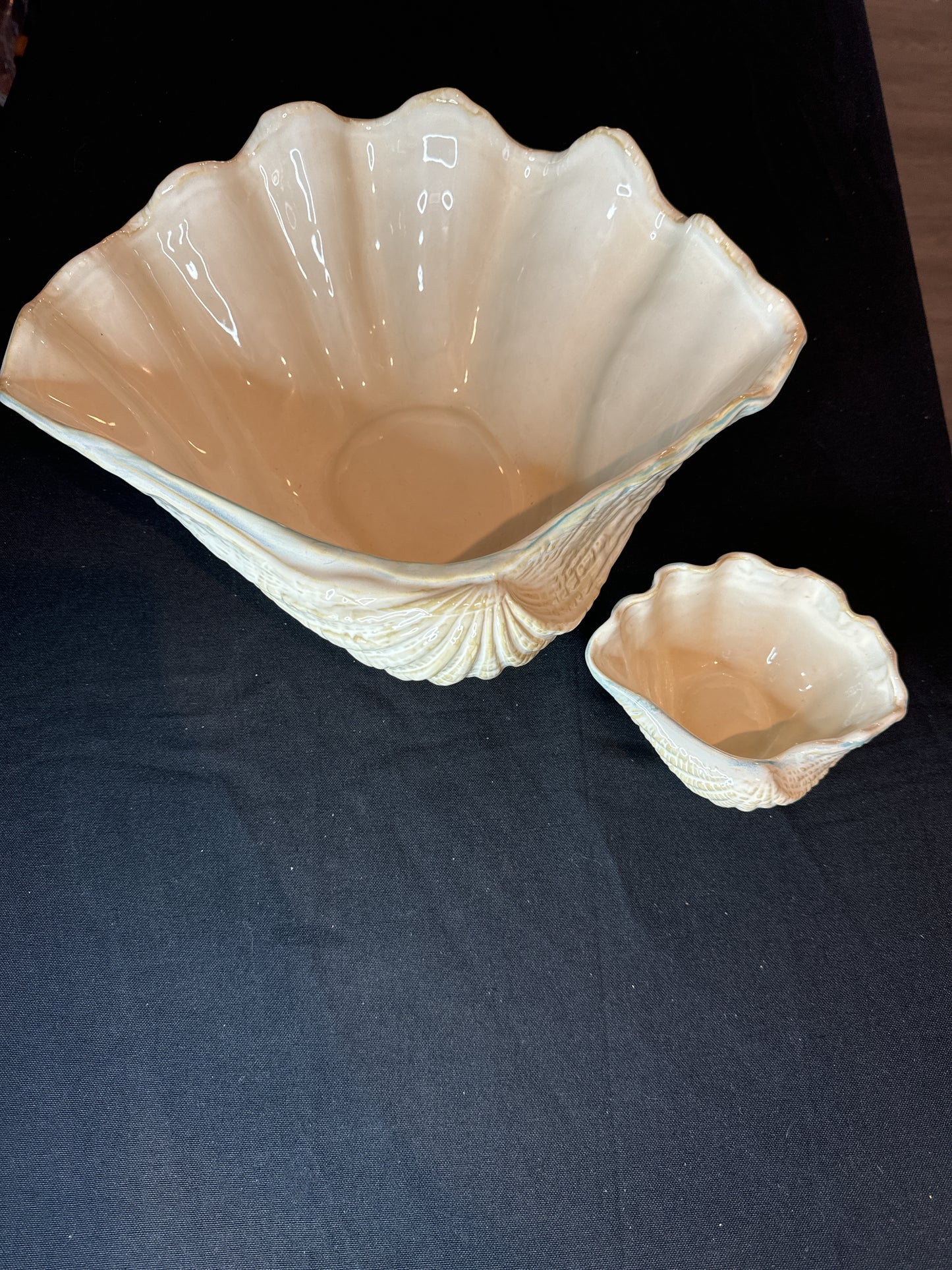 Shoreline Collection Home Studio Clam Shell Bowl 14" and 5.5" Set of 2