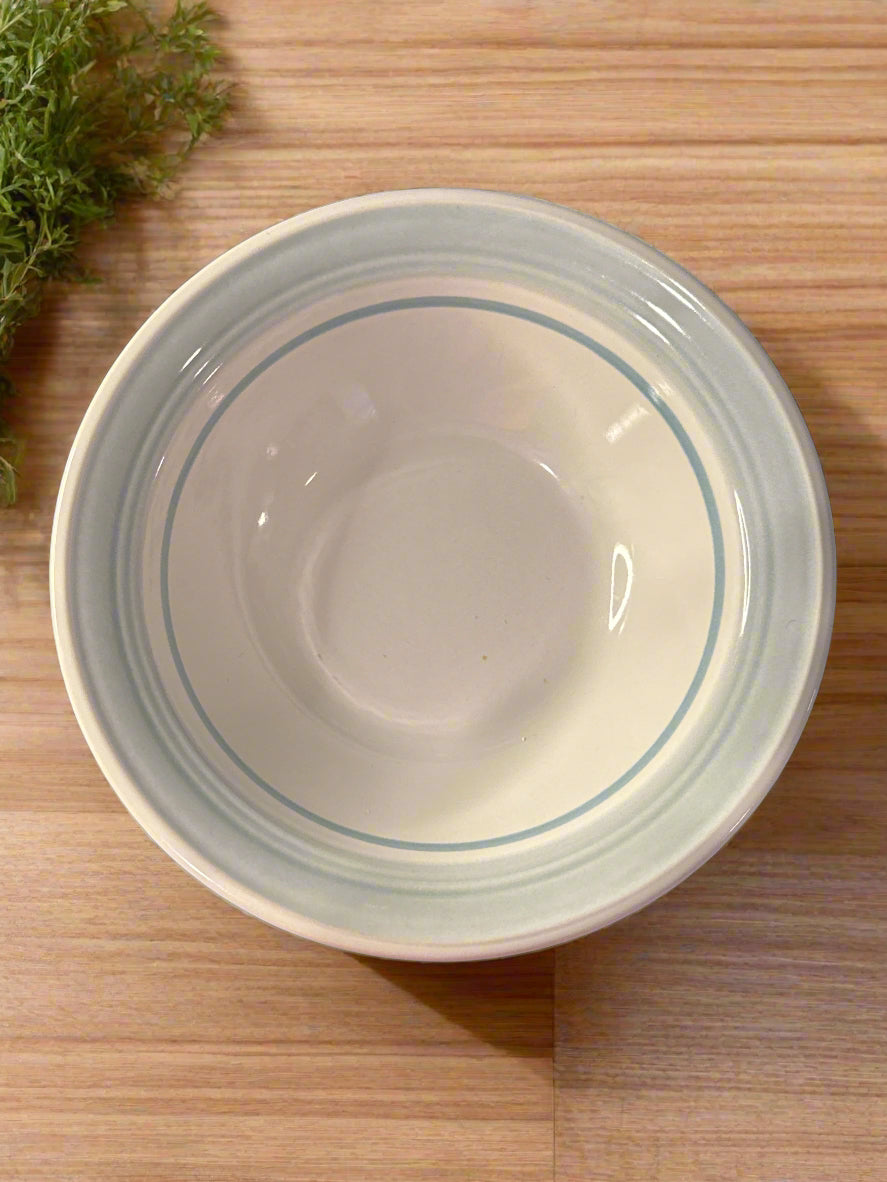 Daniele Blue Mist Pattern Coupe Cereal Bowl 6 5/8" Wide Japan