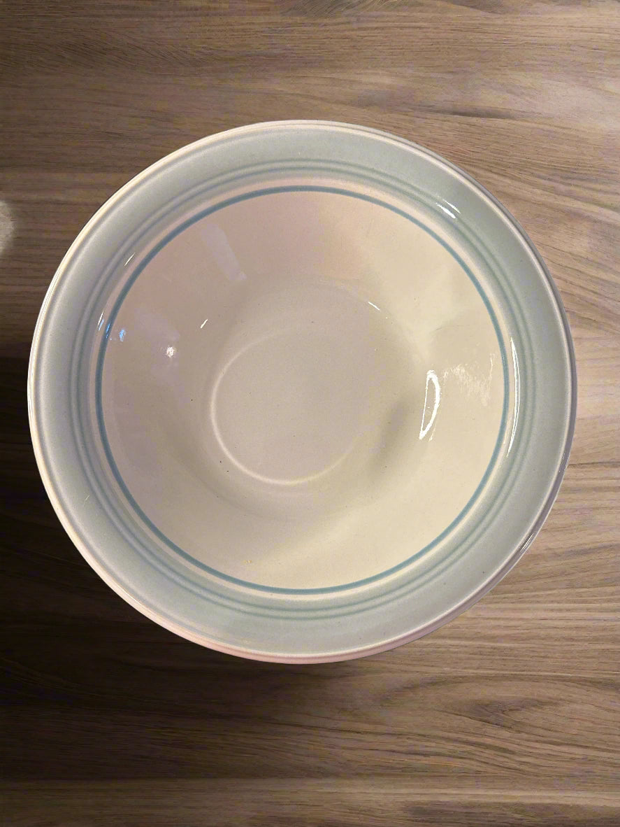 Daniele Blue Mist Pattern 9" Round Vegetable Bowl 9.25" Wide Japan