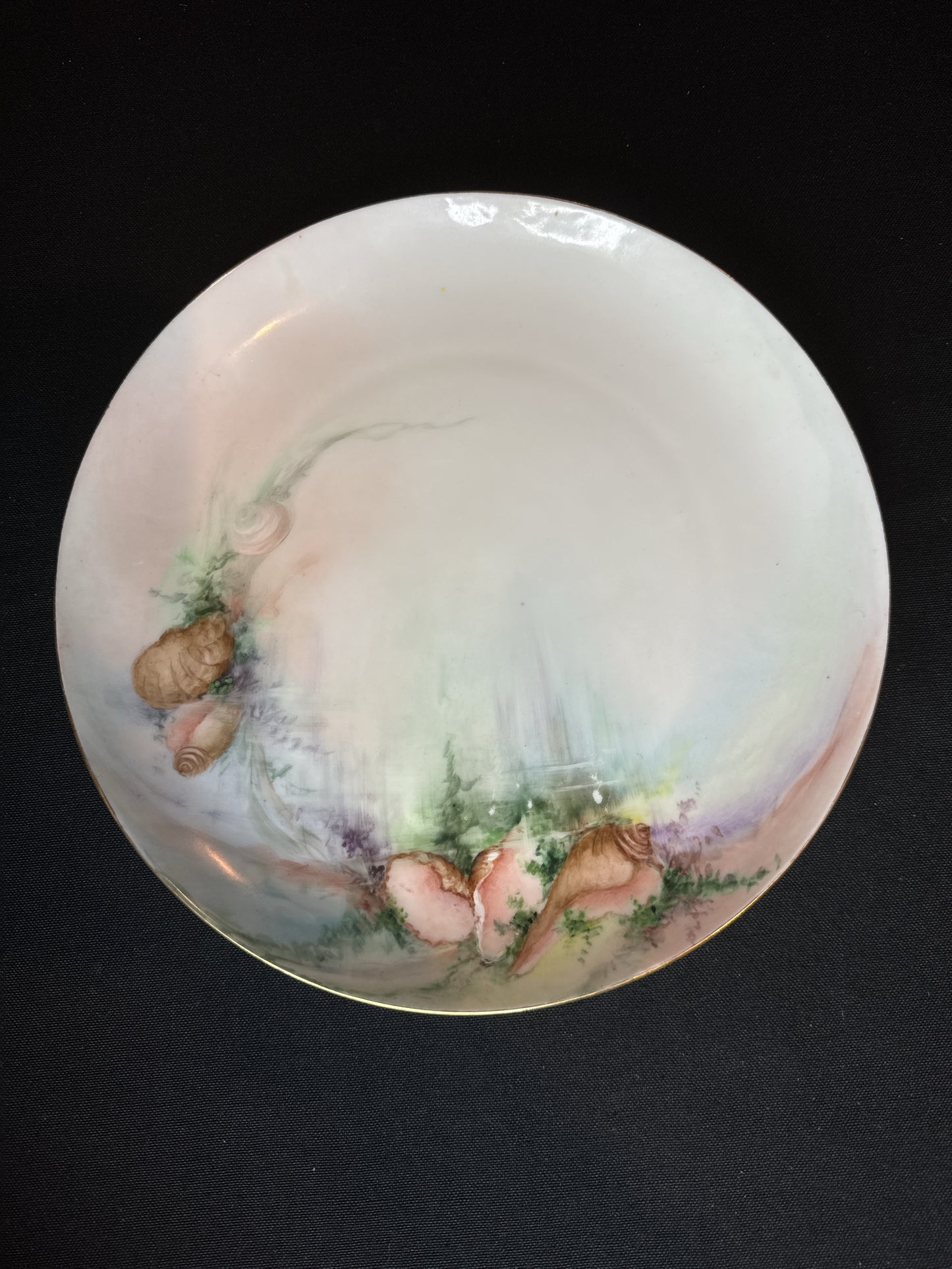 Cecilie Hand Painted 9.25" Plate Seashells Sea Bottom