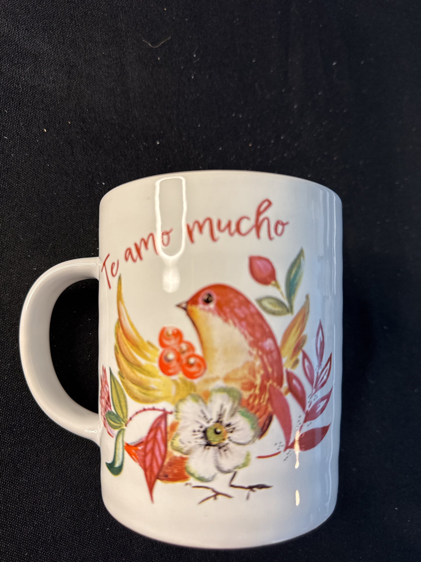 Fig & Fern "Te Amo Mucho" Coffee Cup Mug Bird Pink Interior 4.5" Tall New