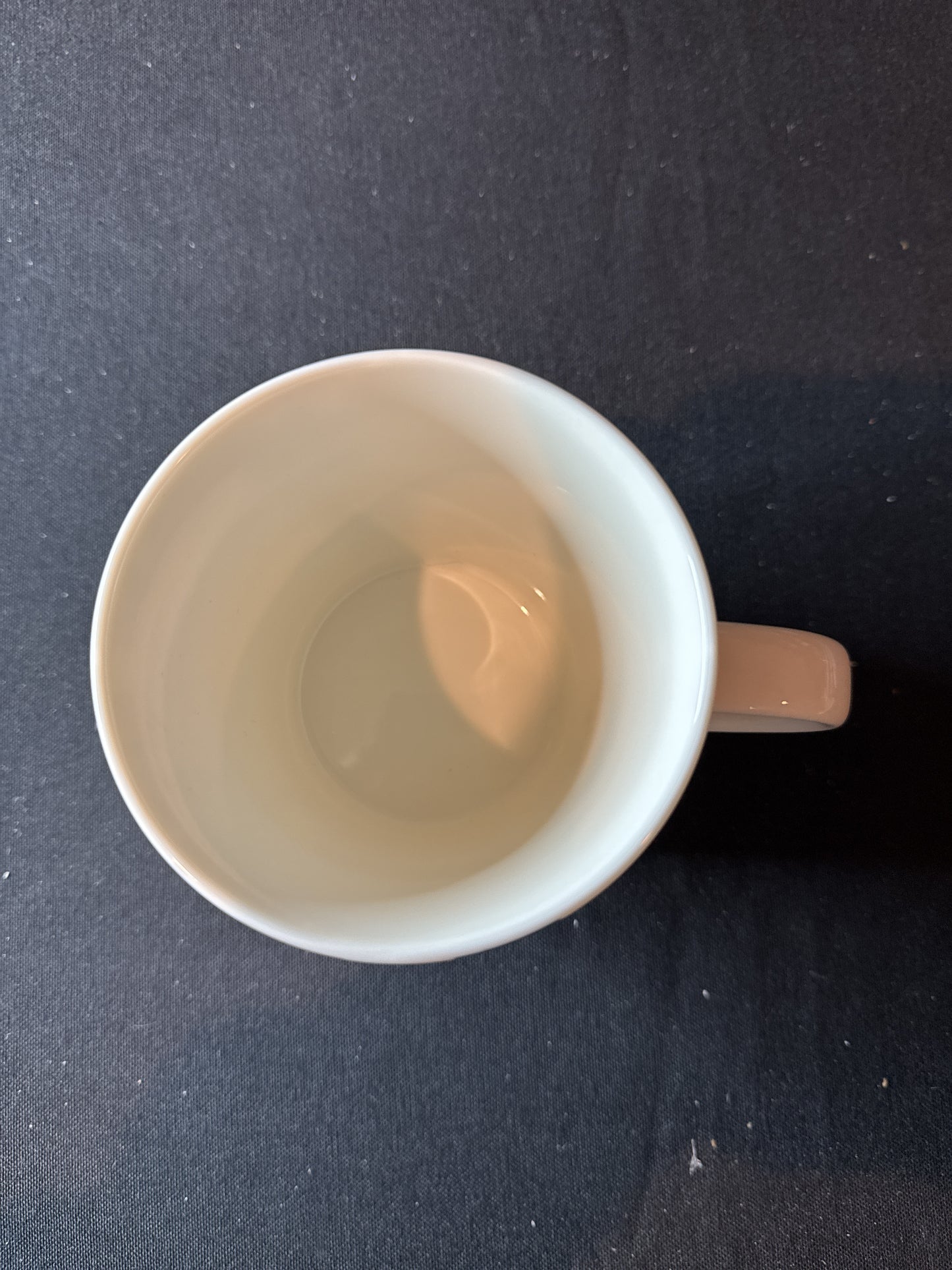 Ellen DeGeneres 16oz Porcelain ED Mug "Love" Crafted by Royal Doulton Like New 4 3/8" Tall