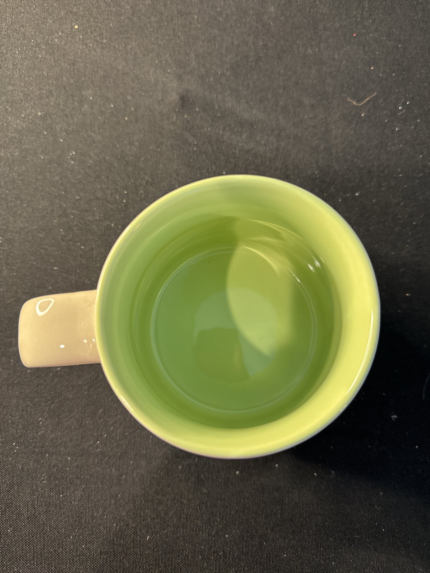 Spectrum Designz Bird Coffee Cup Mug Light Green Interior 3 7/8" Tall New