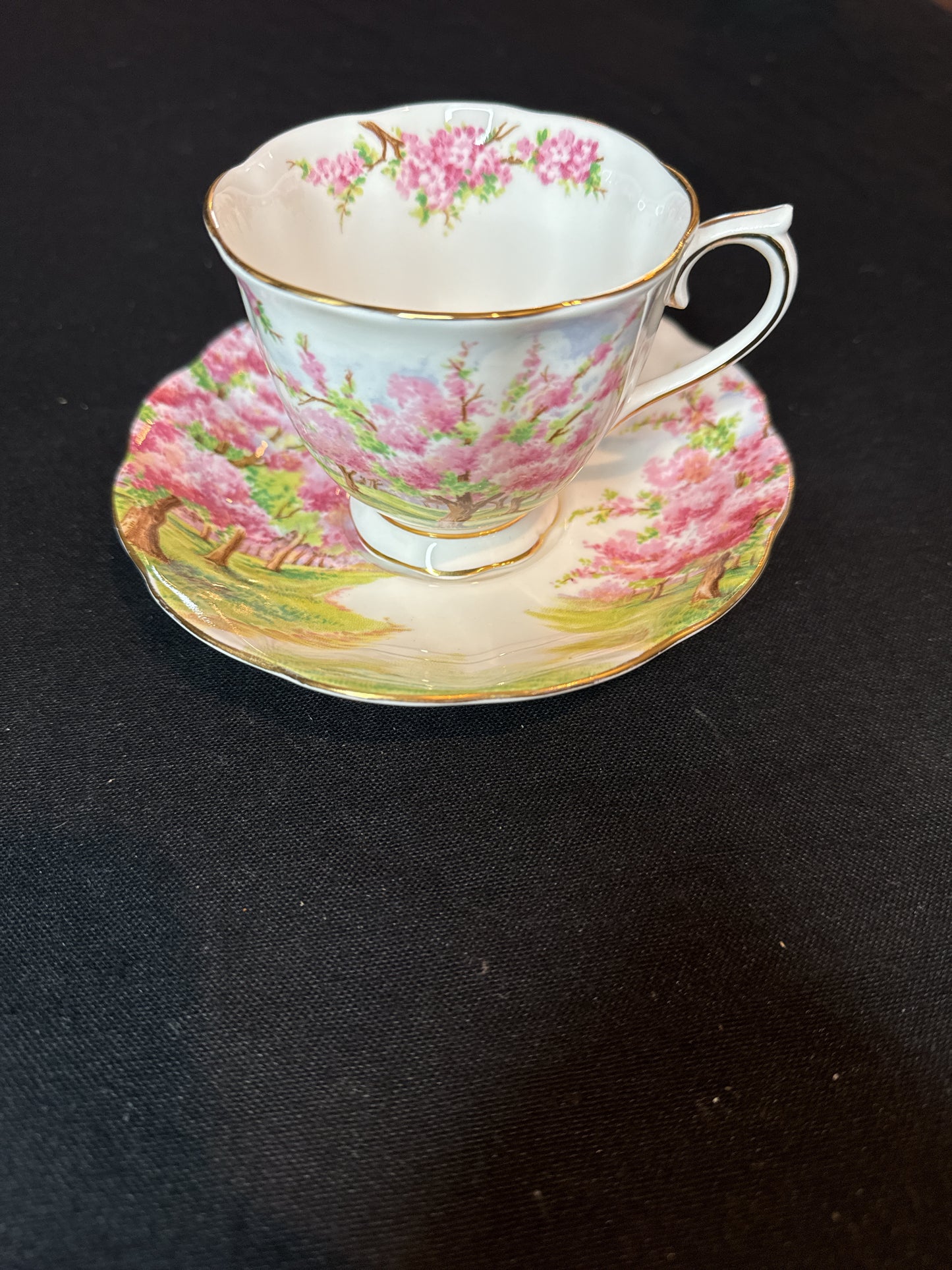 Royal Albert Bone China Blossom Time 2 Cups and Saucers Set Vintage England