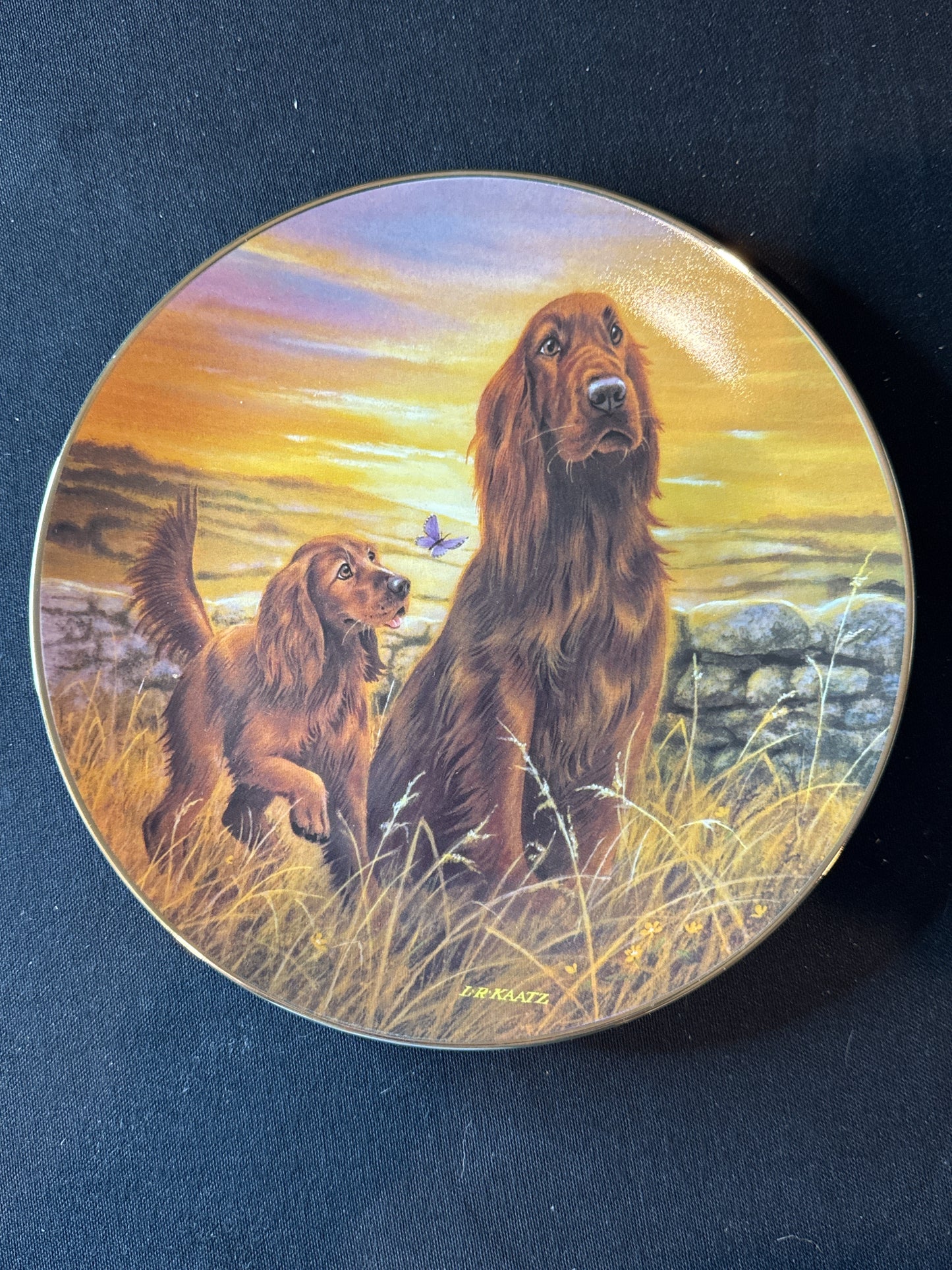 Bradford Exchange Practice Make Perfect Collection "Pointed In The Wrong Direction" Plate 8 3/8"