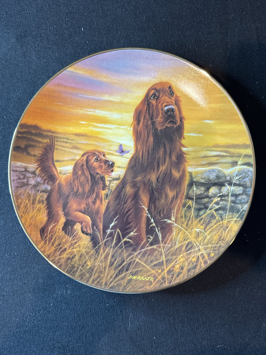 Bradford Exchange Practice Make Perfect Collection "Pointed In The Wrong Direction" Plate 8 3/8"