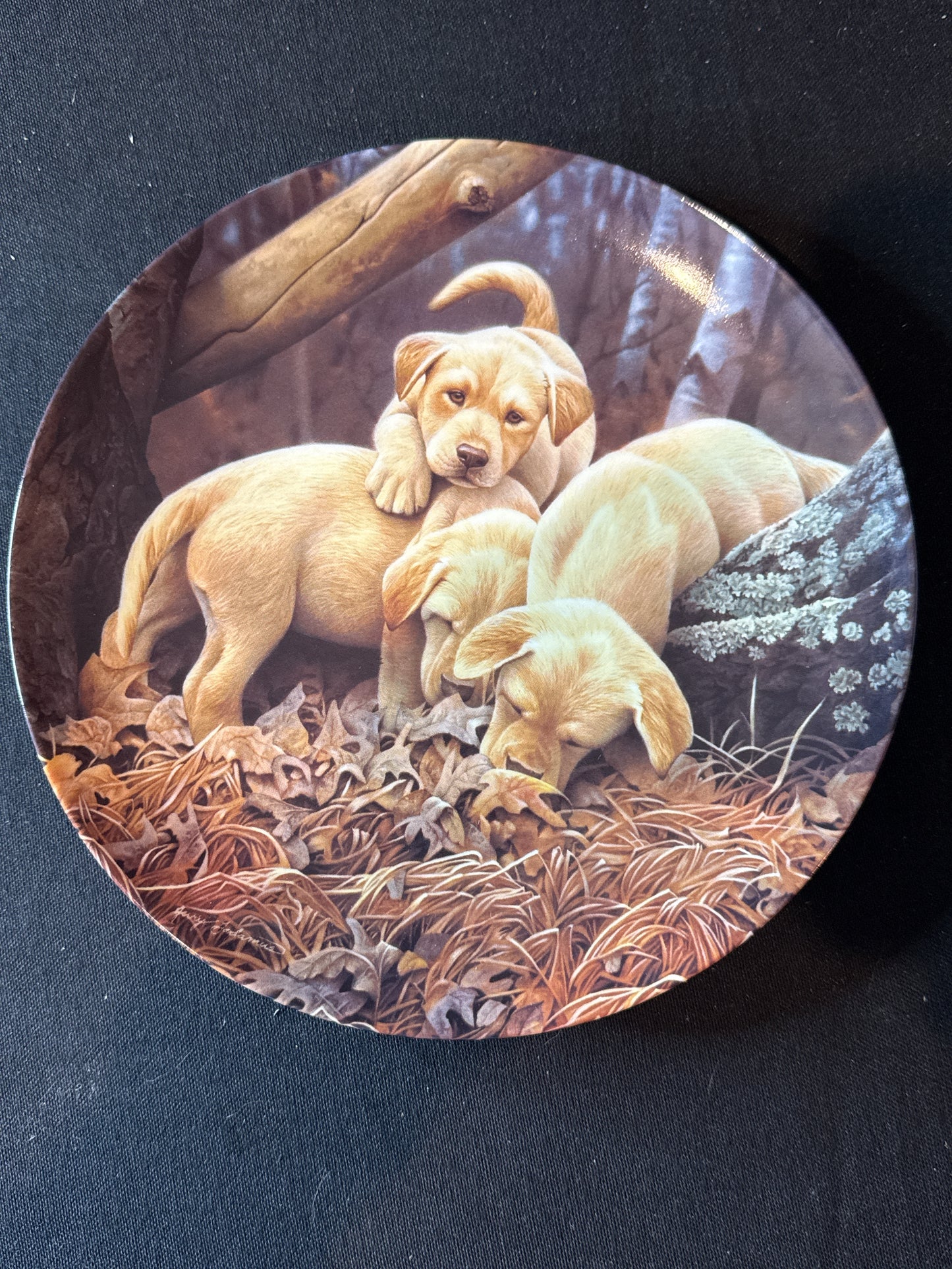 Bradford Exchange Dog Days Collection "Where'd He Go?" Plate 8 3/8" Wide