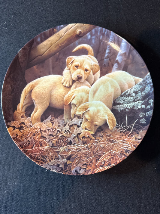 Bradford Exchange Dog Days Collection "Where'd He Go?" Plate 8 3/8" Wide