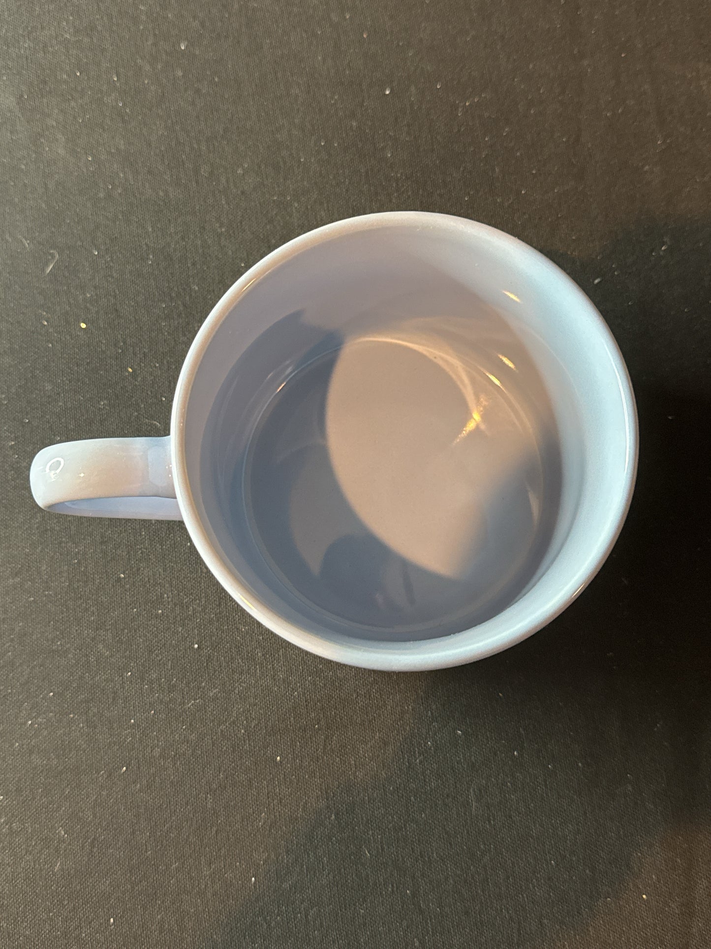 Fig & Fern Blue Swan Coffee Cup Mug Large 3.5" Tall x 4 3/8" Wide New