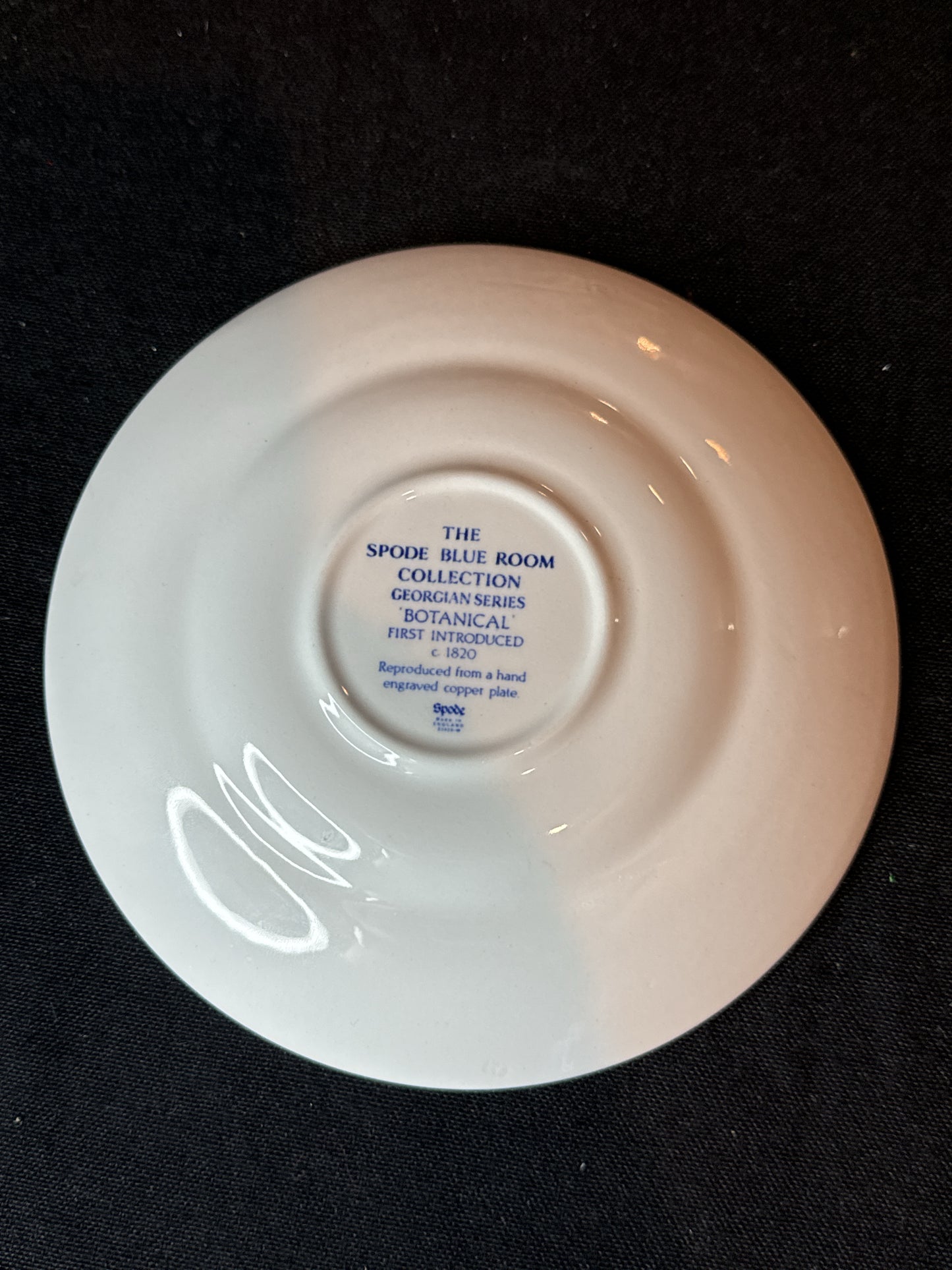 Spode Blue Room Collection Georgian Series "Botanical" Tea Cup and Saucer