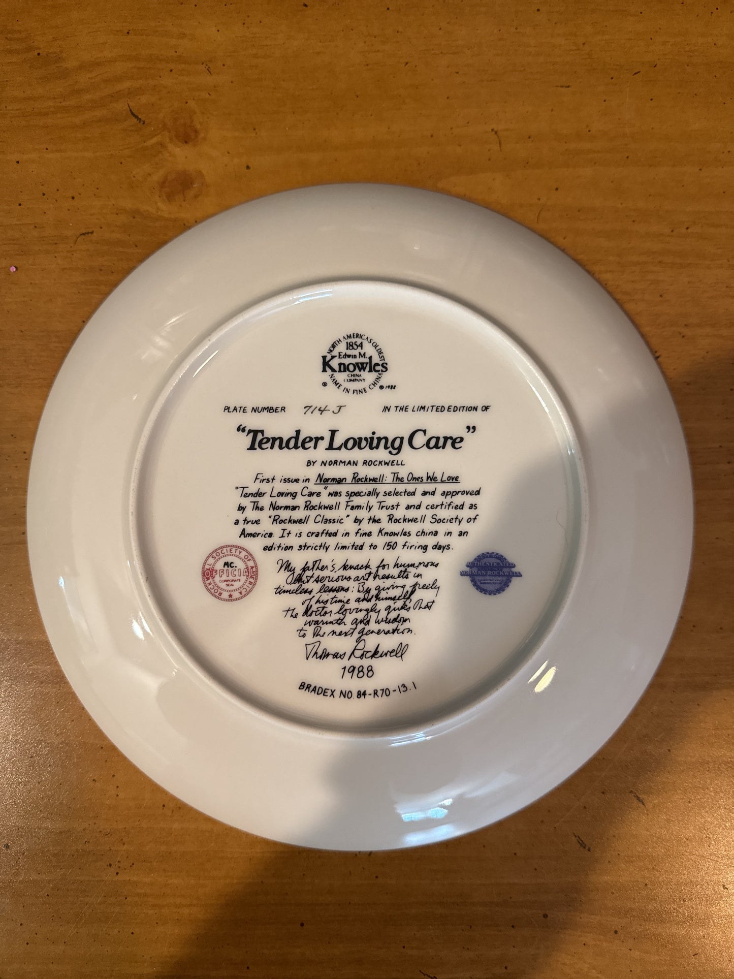 Knowles Norman Rockwell "Tender Loving Care" Collector's Plate 8.5" Wide Plate # 714-J 1988
