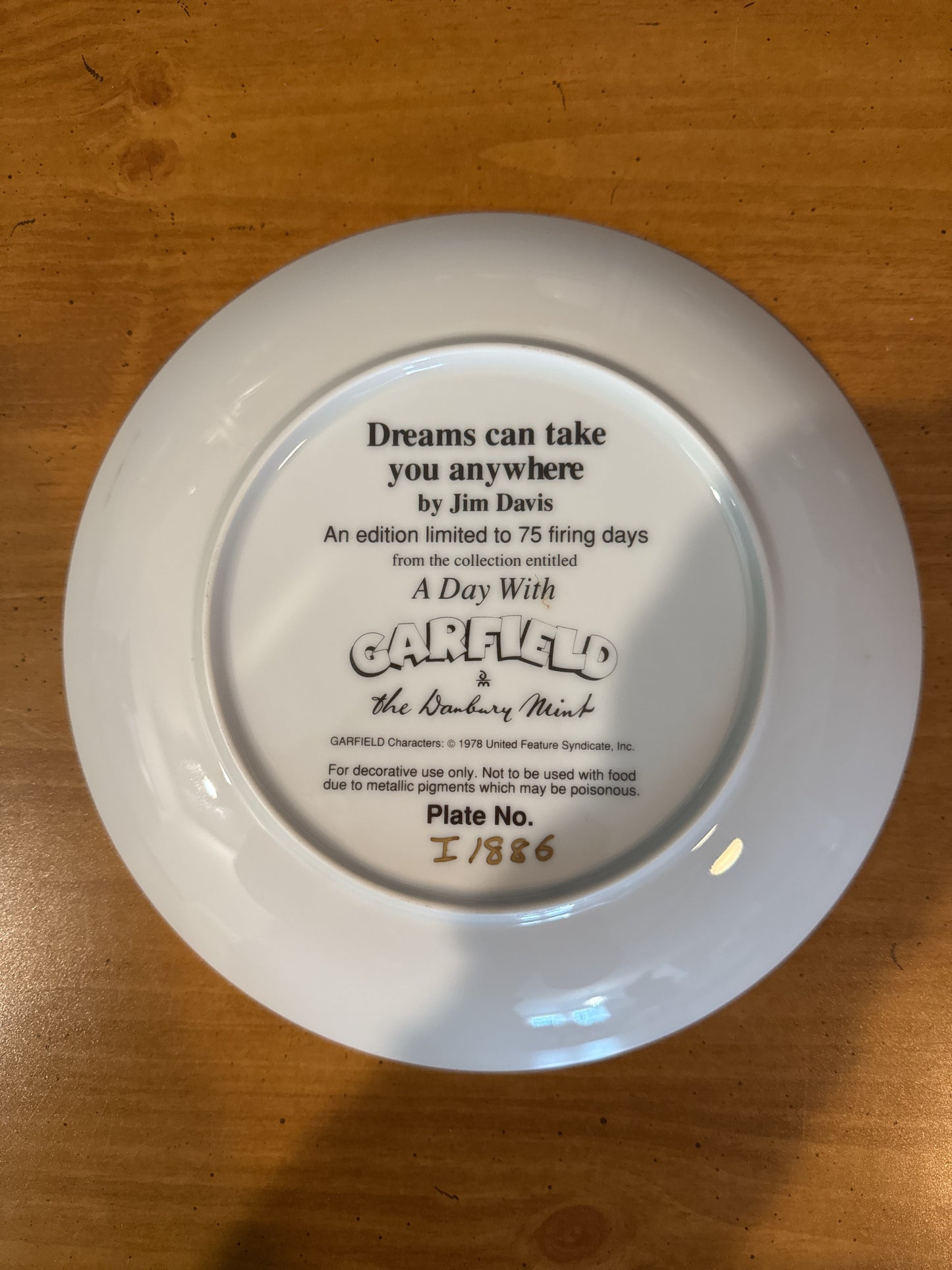 Garfield Collector's Plate by Danbury Mint "Dreams Can Take You Anywhere" 8.25" Wide Plate #I1886 Jim Davis